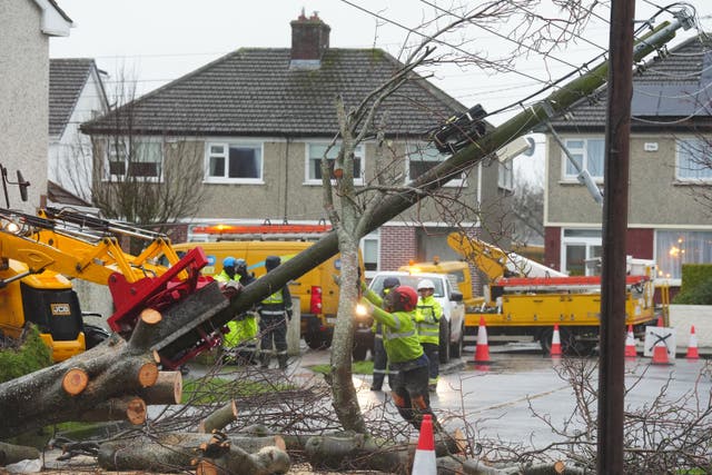 Workers clear a fallen tree on Grove Park Drive in Dublin (Brian Lawless/PA)