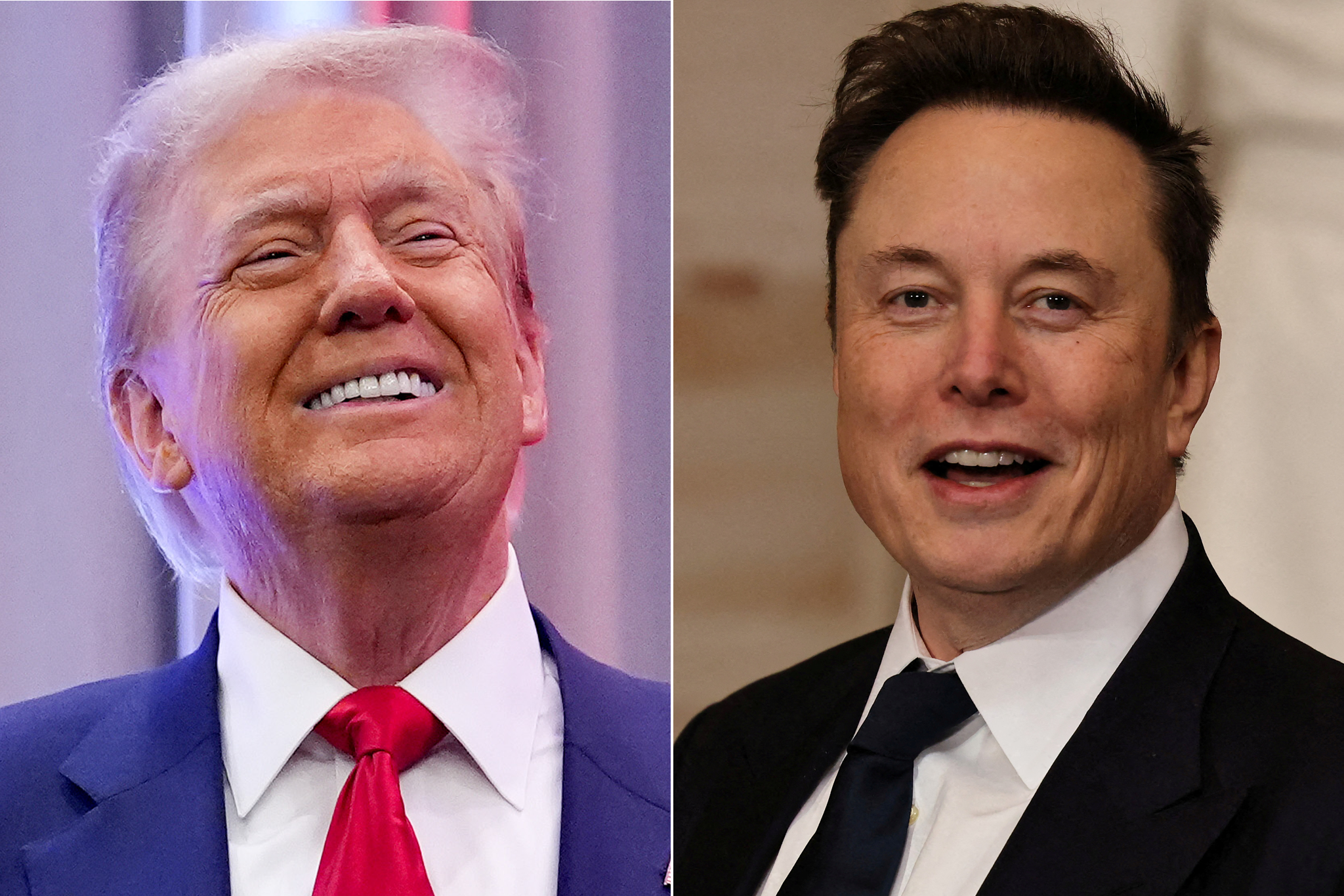 Donald Trump and his DOGE government ‘efficiency’ captain Elon Musk