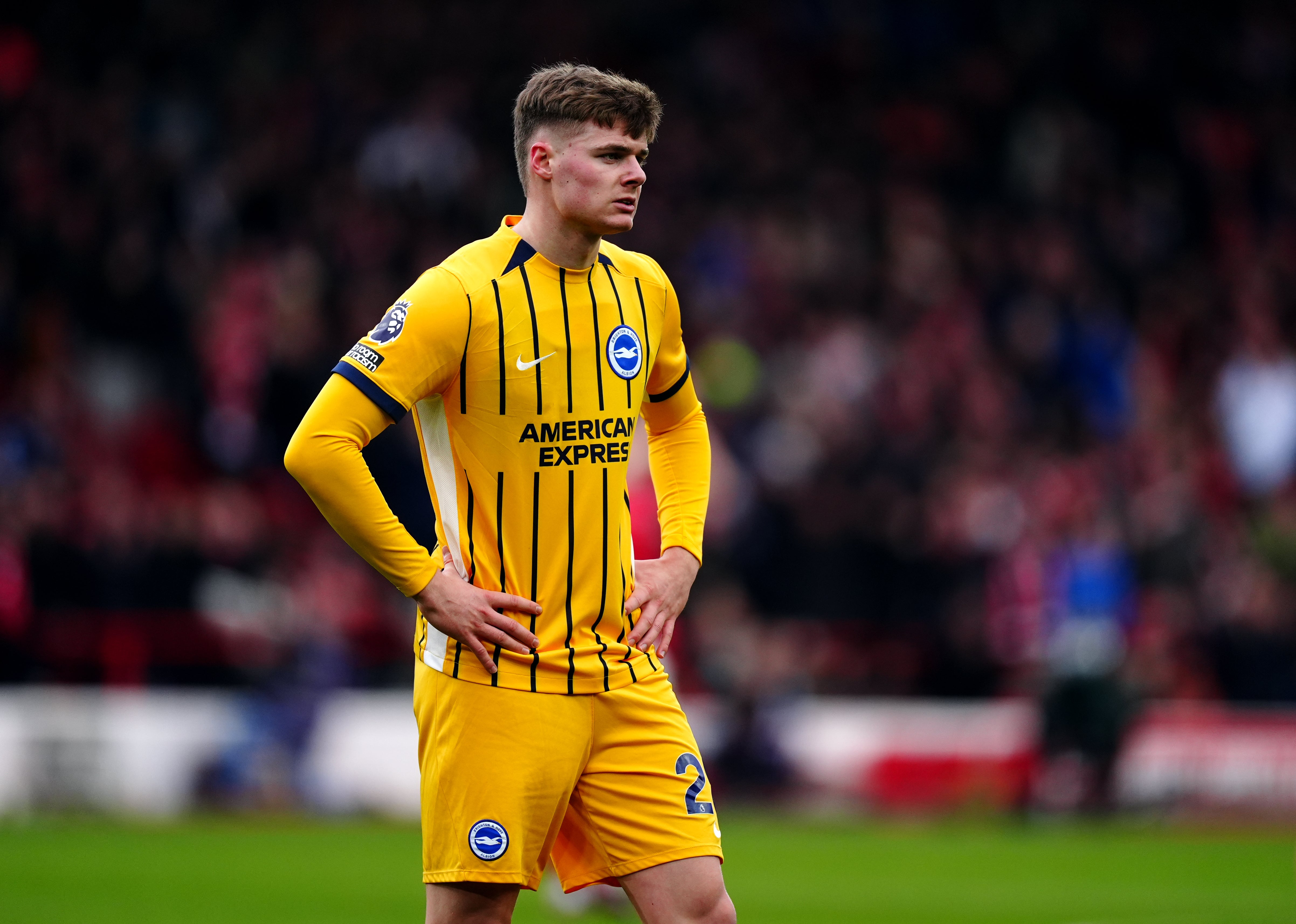 Brighton will hope Evan Ferguson can come good again next season