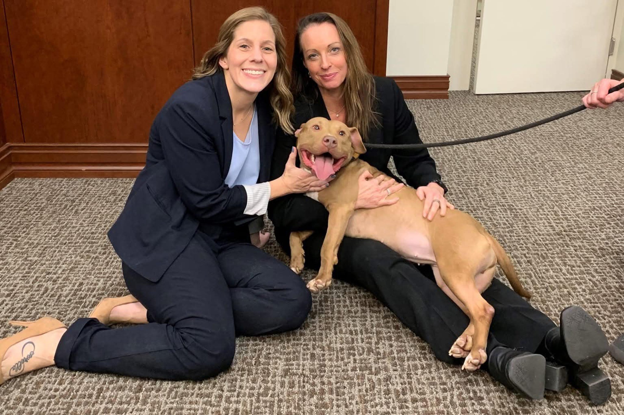 Detectives at the time found 107 animals at the home in Paulding County