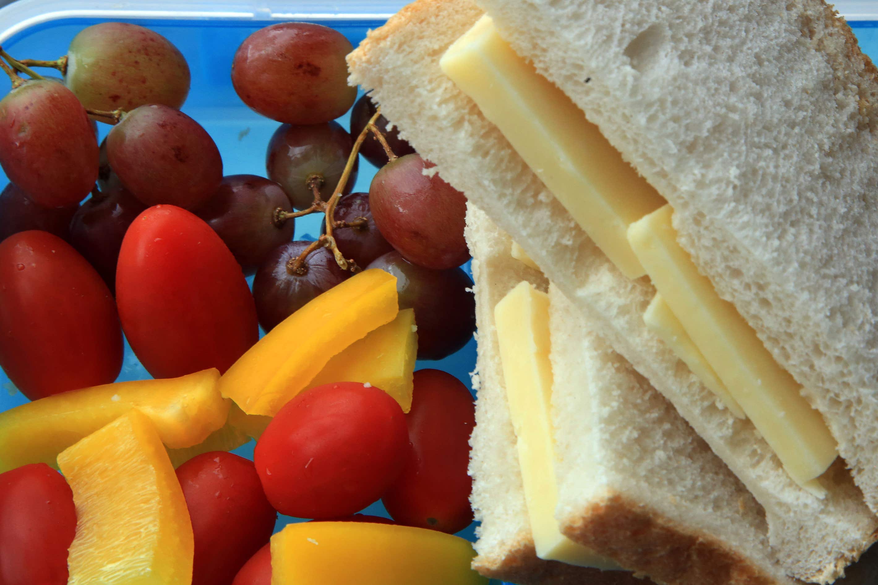 An expert said malnutrition is ‘one of the most urgent concerns for child health in the UK’ (Gareth Fuller/PA)