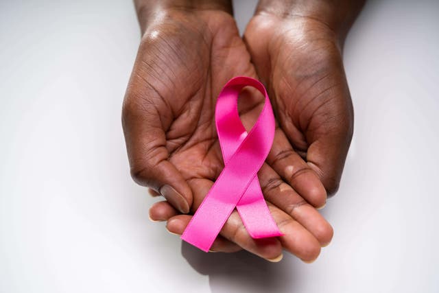 <p>One in 20 women worldwide will be diagnosed with breast cancer in her lifetime</p>