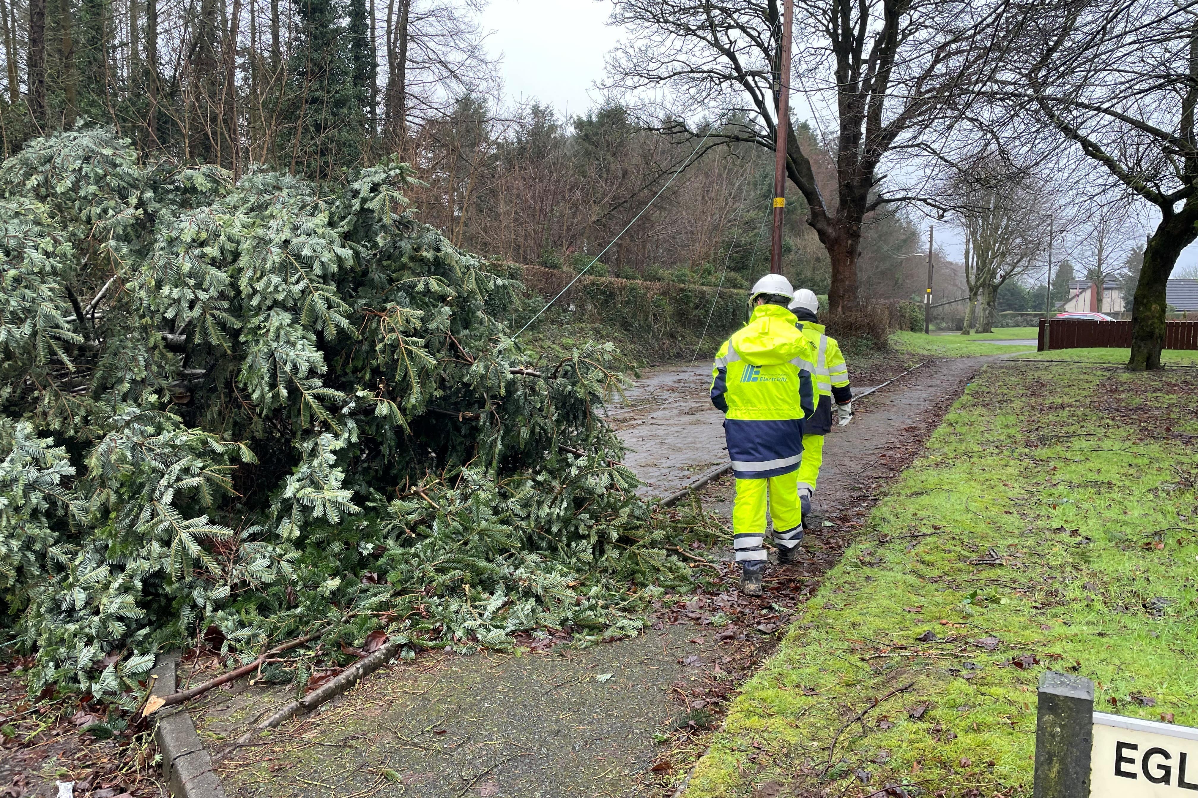 Electricity engineers inspect damage by fallen trees blocking Eglantine Road near Hillsborough (PA)