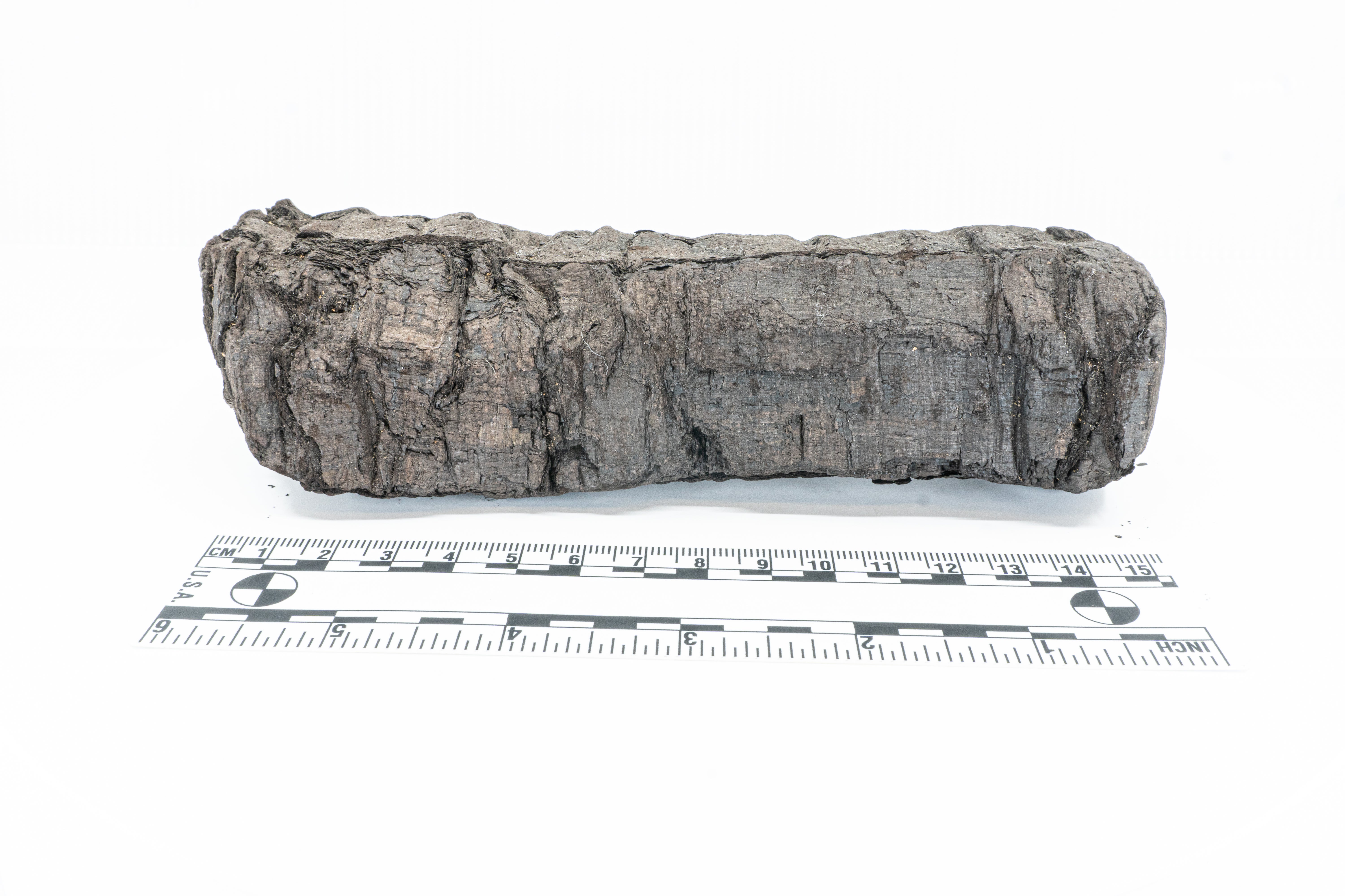 The document, which looks like a lump of charcoal, was charred by the volcanic eruption of Mount Vesuvius in 79AD