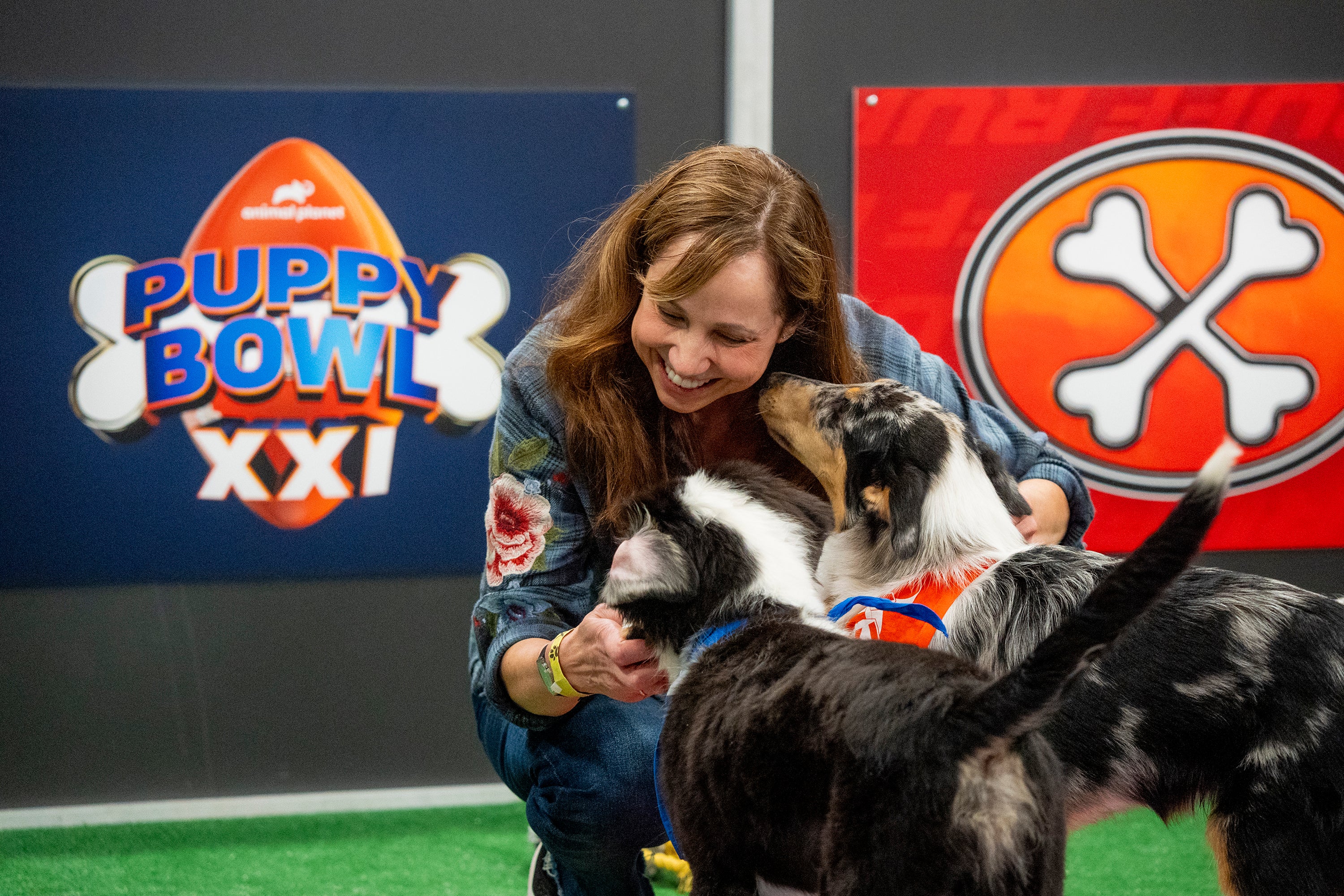 TV-Puppy Bowl