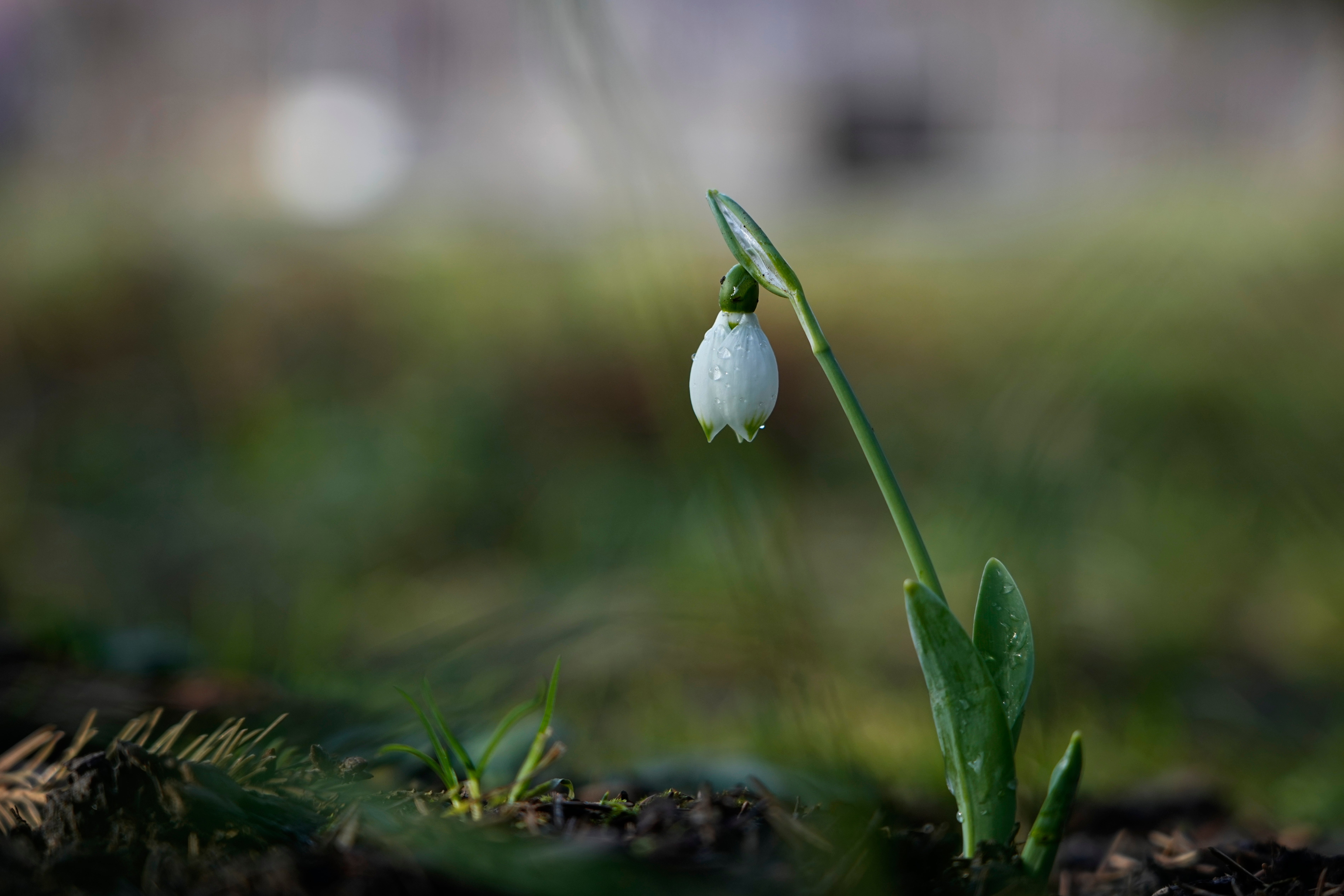 Climate Record Hot January