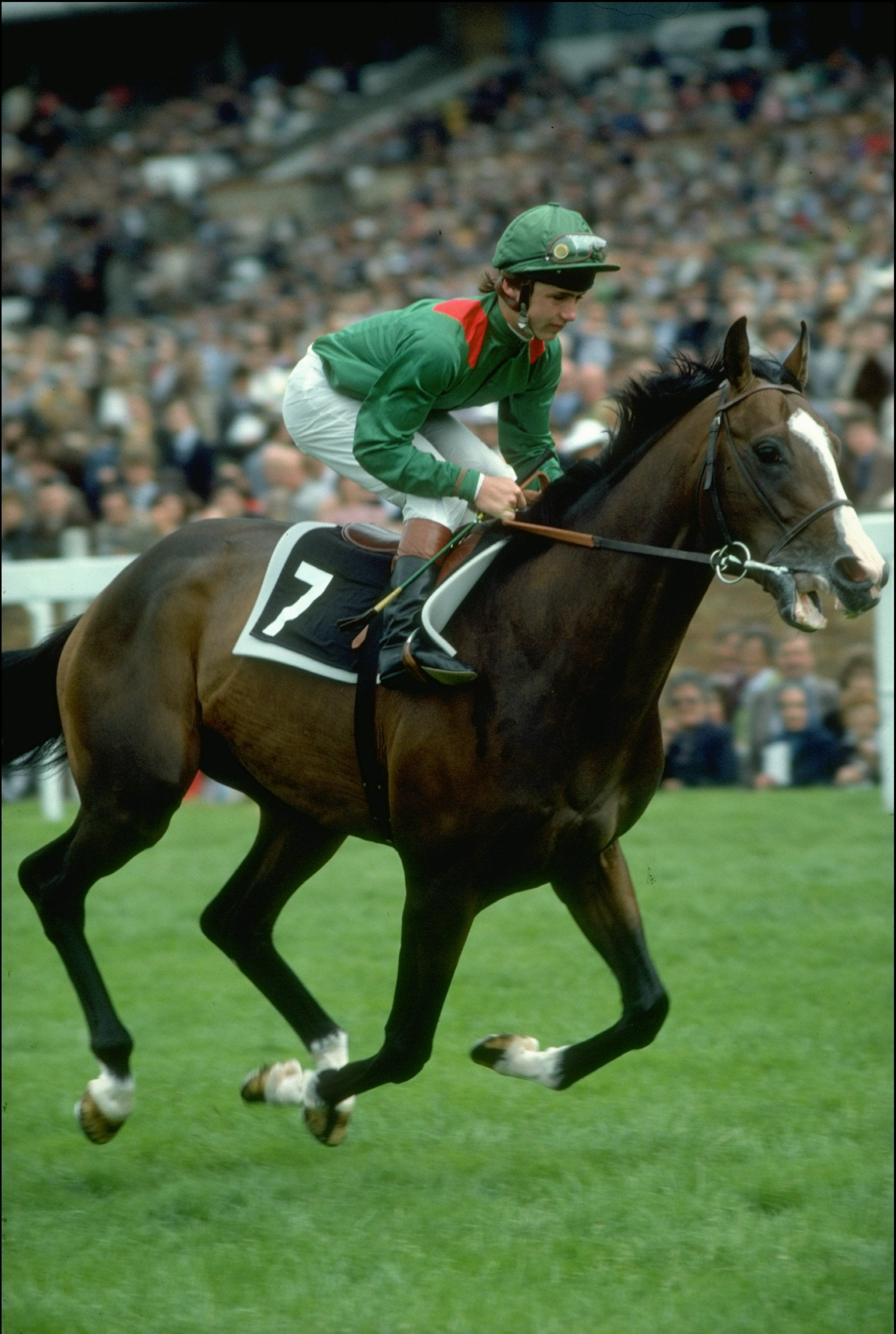 Jockey Walter Swinburn on Shergar during the King George VI and Queen Elizabeth Stakes at Ascot in 1981