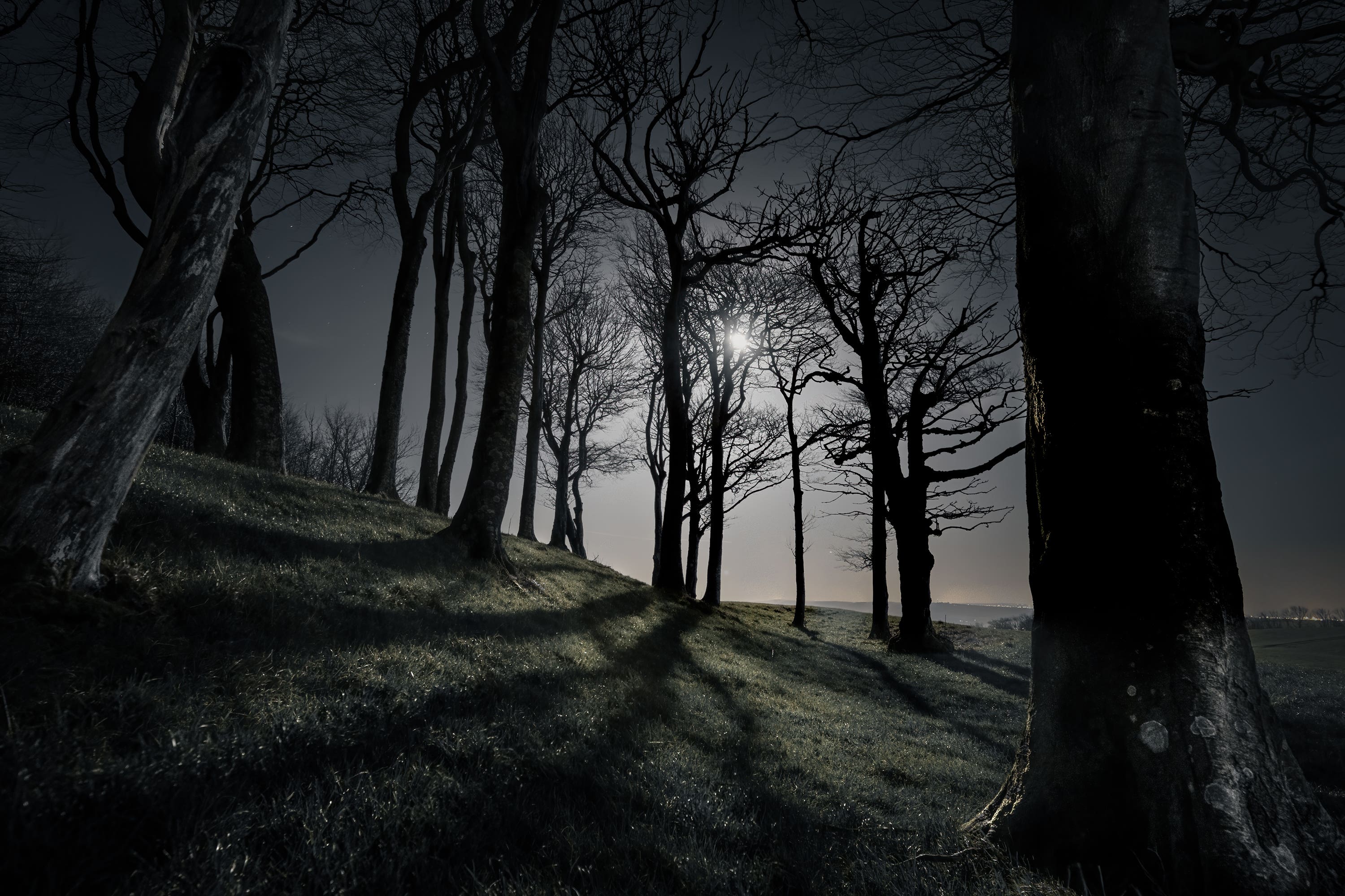 Chanctonbury Coven by Giles Embleton-Smith, the winner of the Life At Night category of the South Downs National Park’s annual photo competition (Giles Embleton-Smith/South Downs National Park/PA)