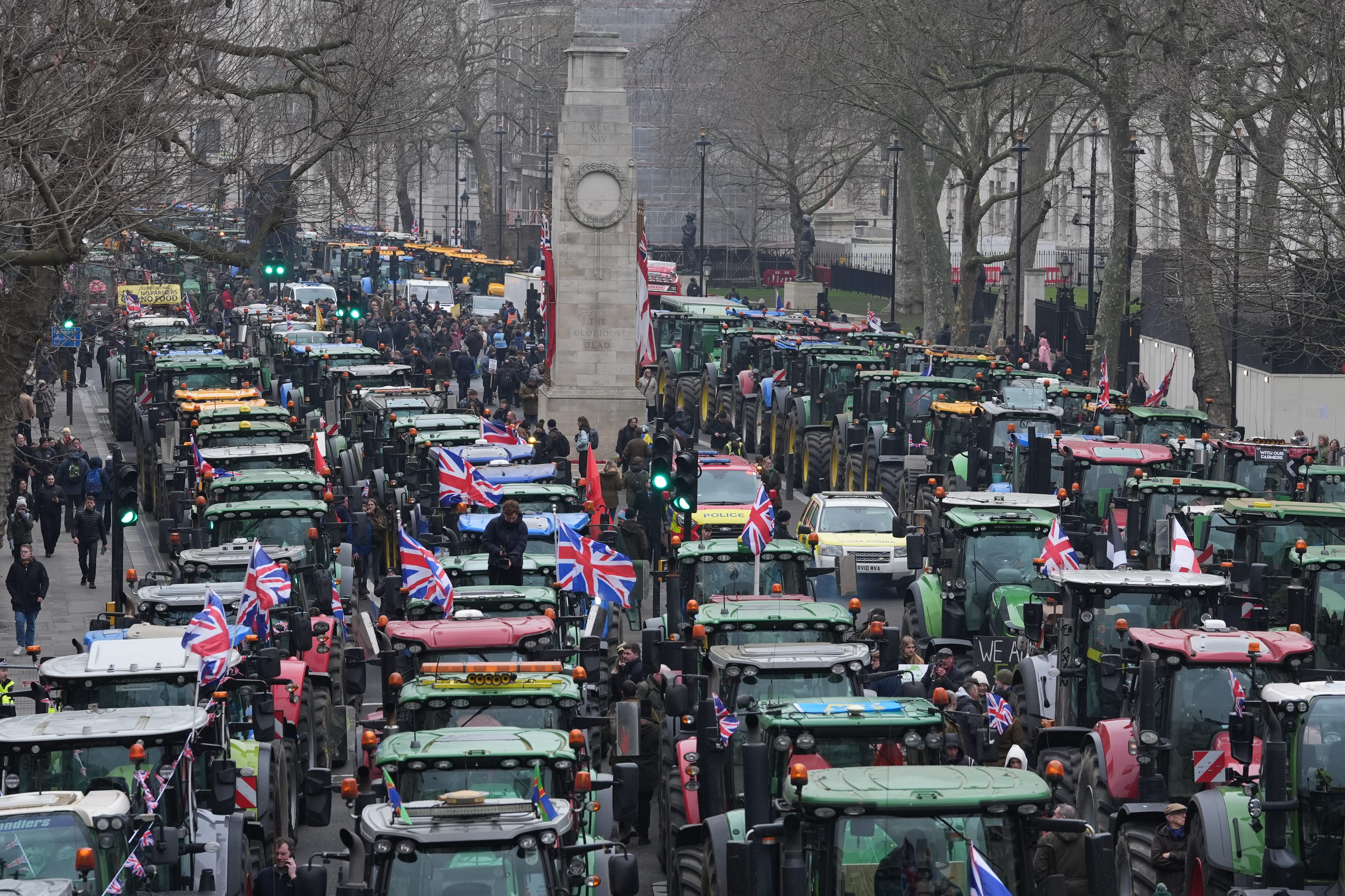 Farmers line Whitehall in their tractors (Gareth Fuller/PA)