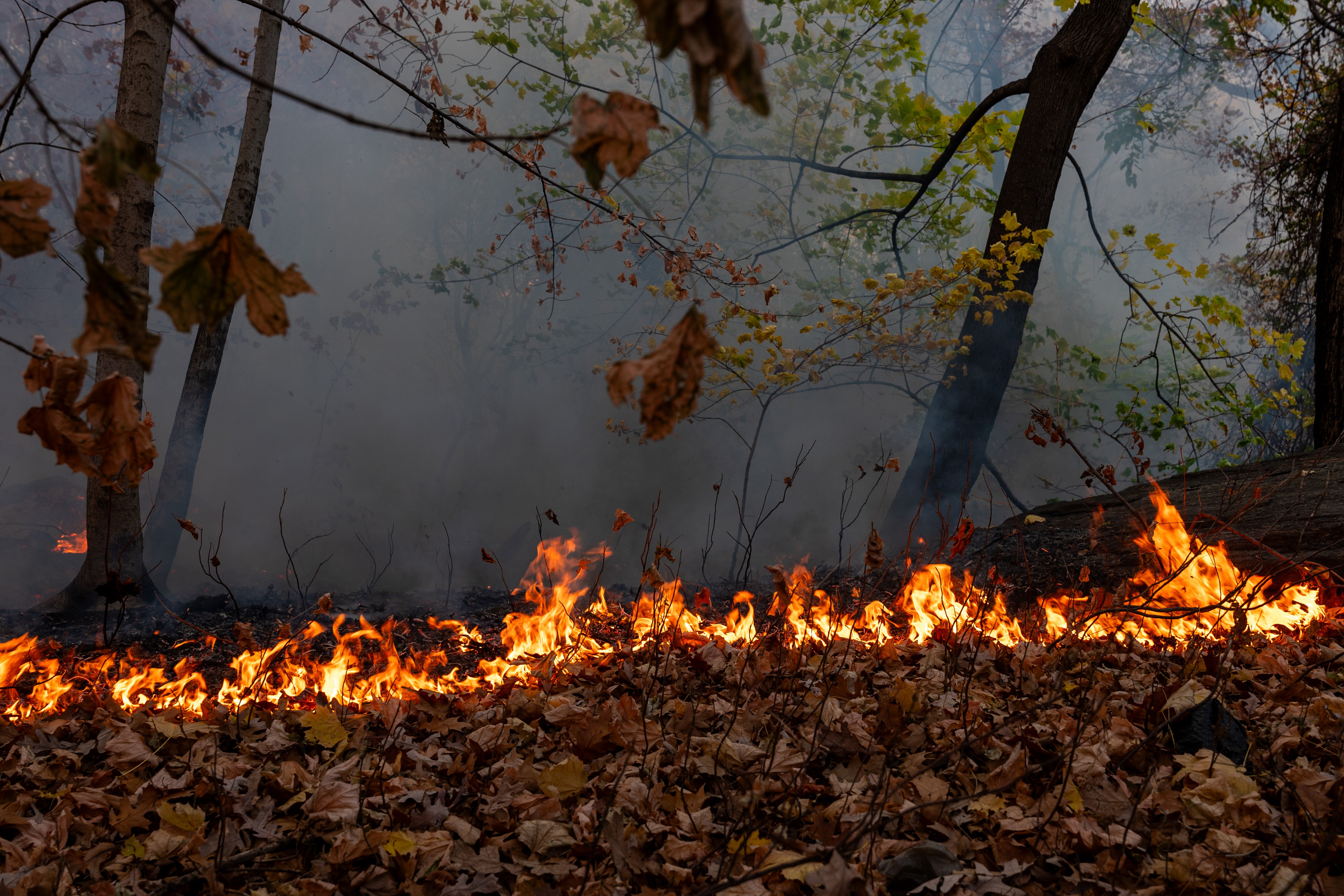 Wildfires broke out along the East Coast in November and December, fueled by prolonged and widespread drought conditions. The smoke threatened millions of New York City residents