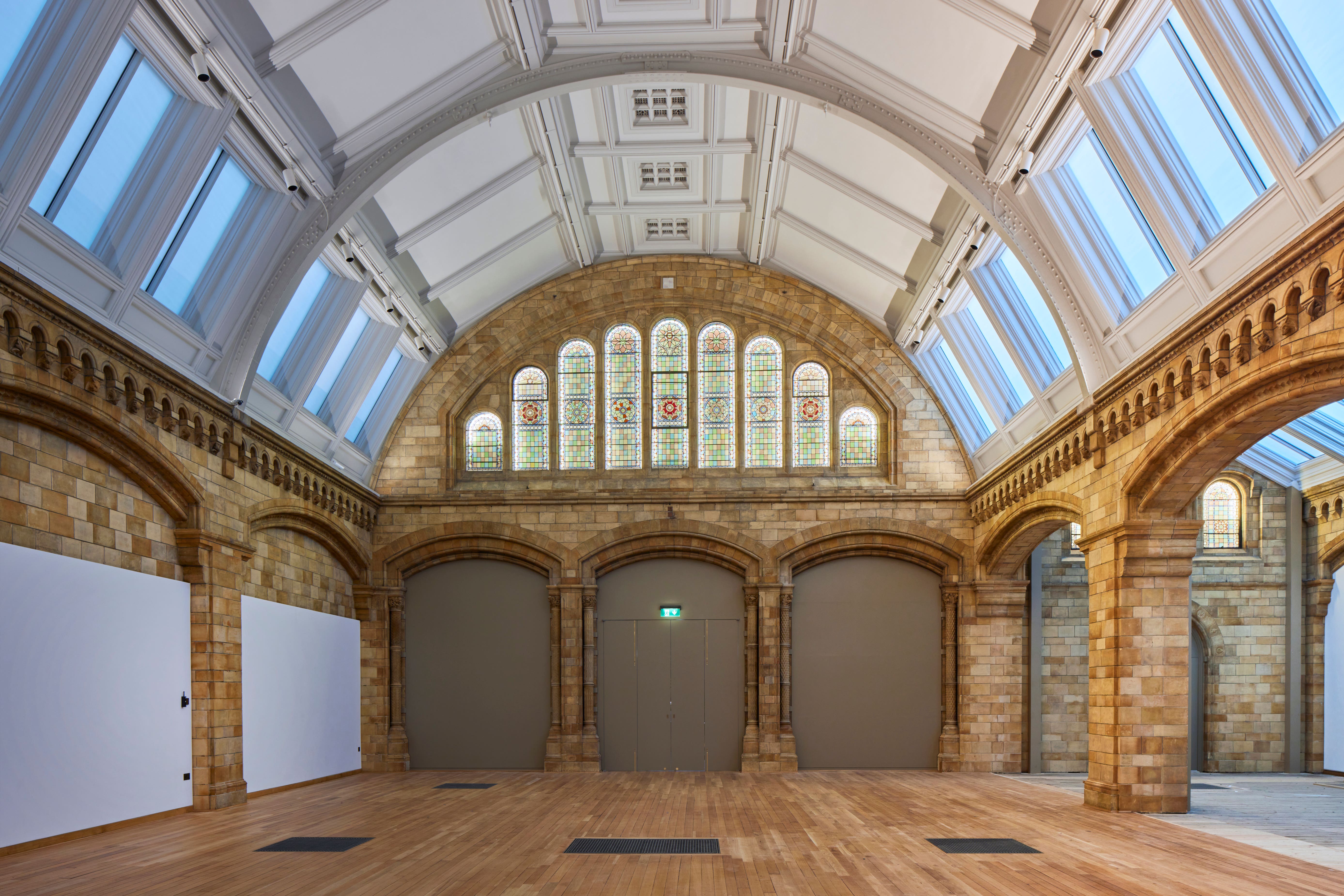 A render of the gallery renovation at the Natural History Museum (Natural History Museum)