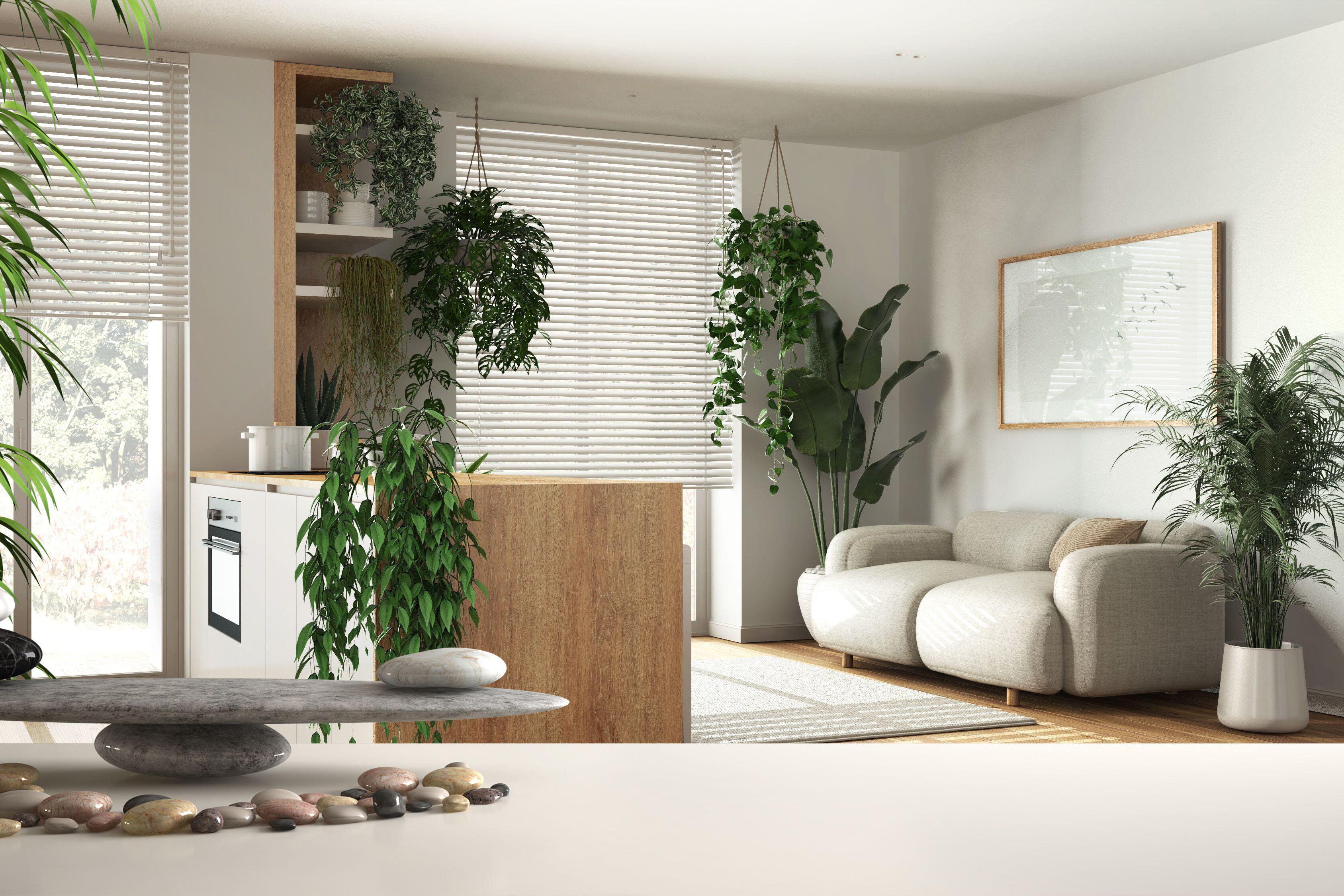 The ancient Chinese art of Feng Shui is said to improve wellbeing (Alamy/PA)