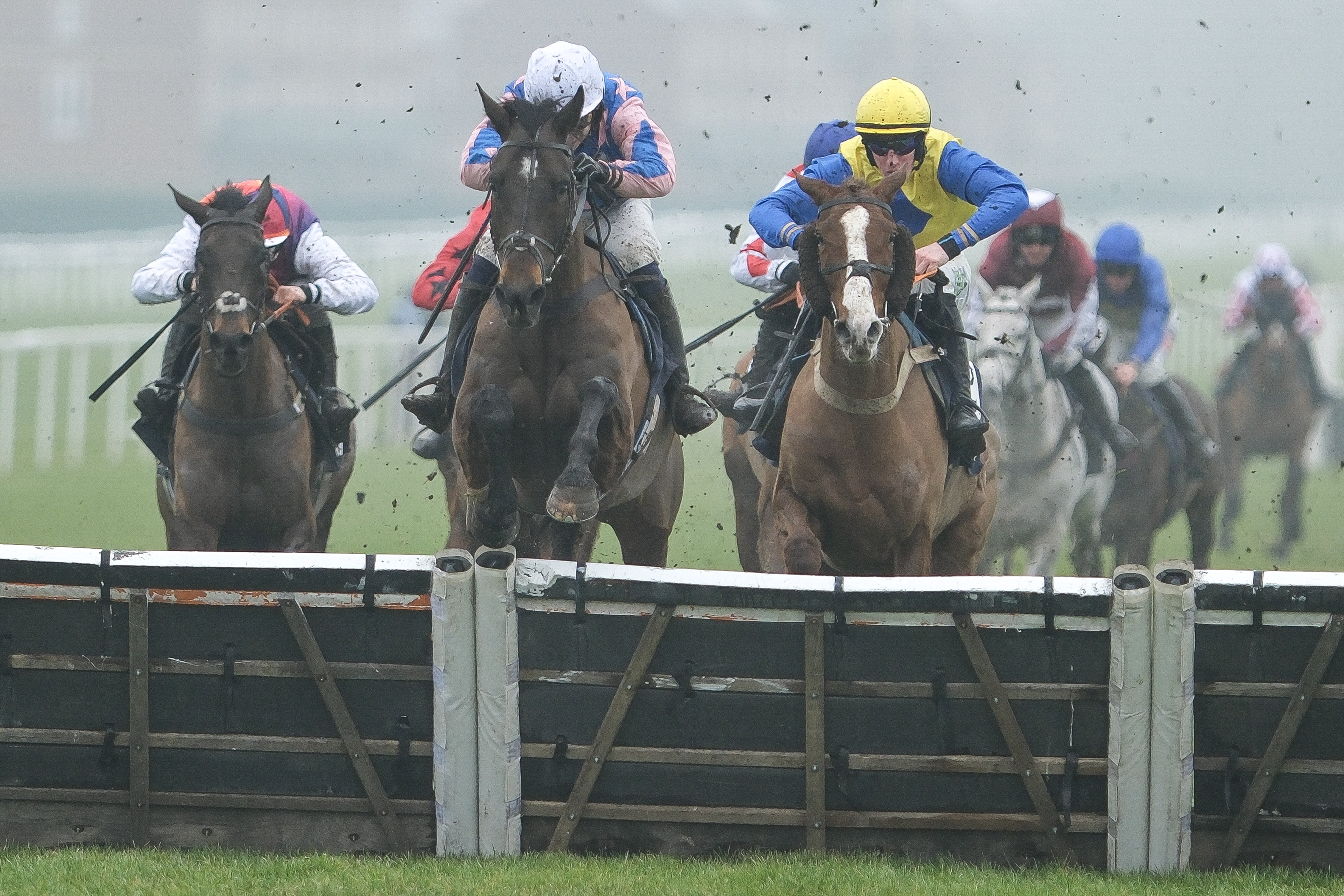 Haiti Couleurs (left) impressed with a third place finish in the William Hill Top Price Guarantee Handicap Hurdle at Newbury