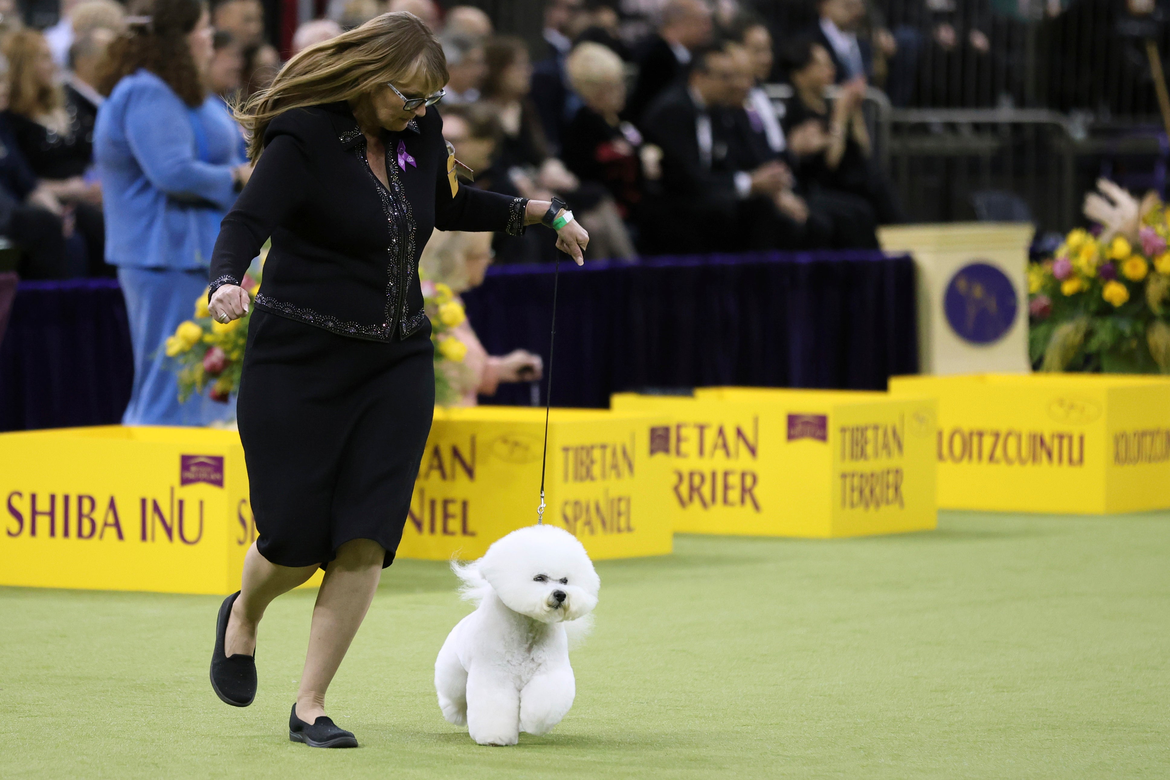Westminster Dog Show