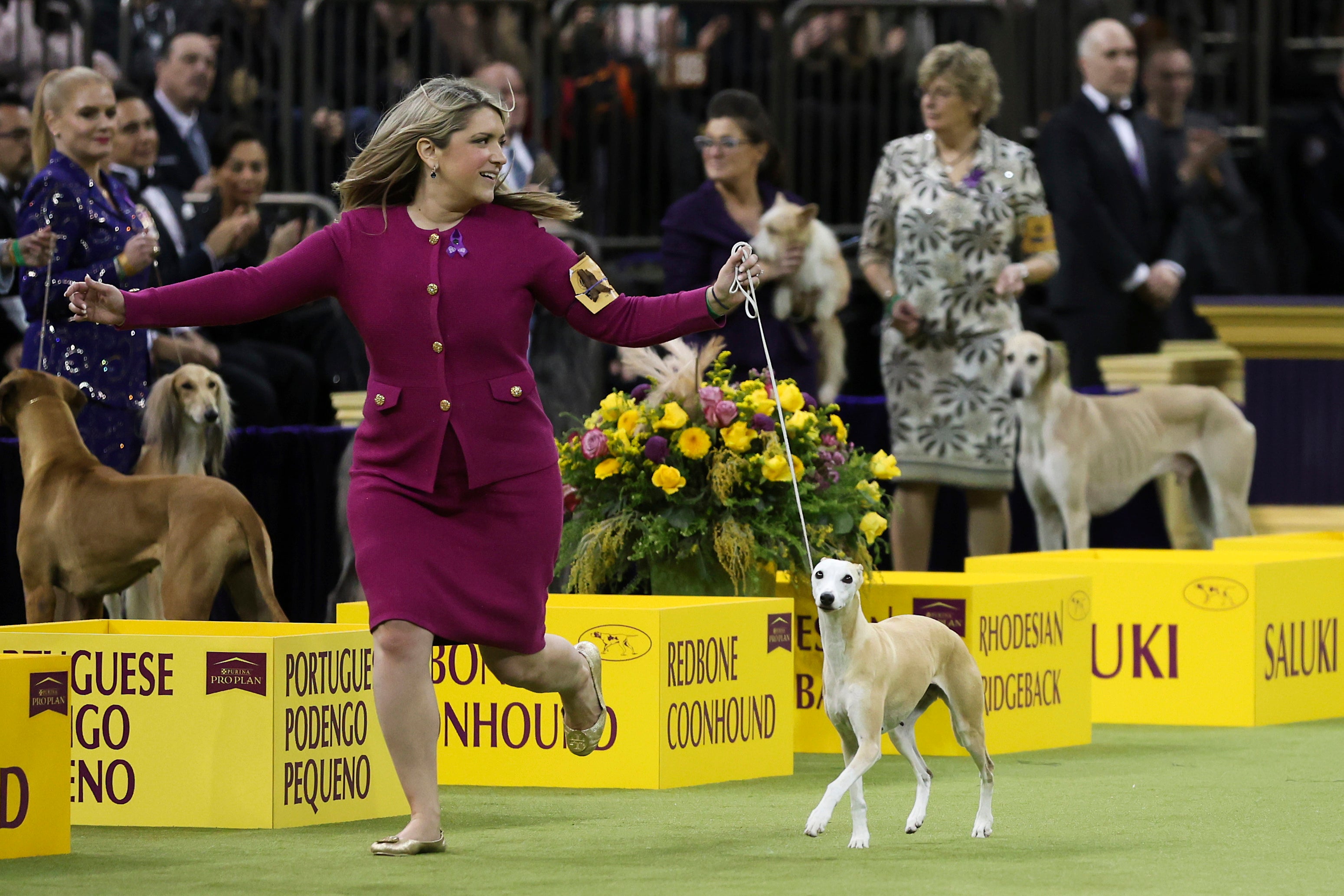 Westminster Dog Show