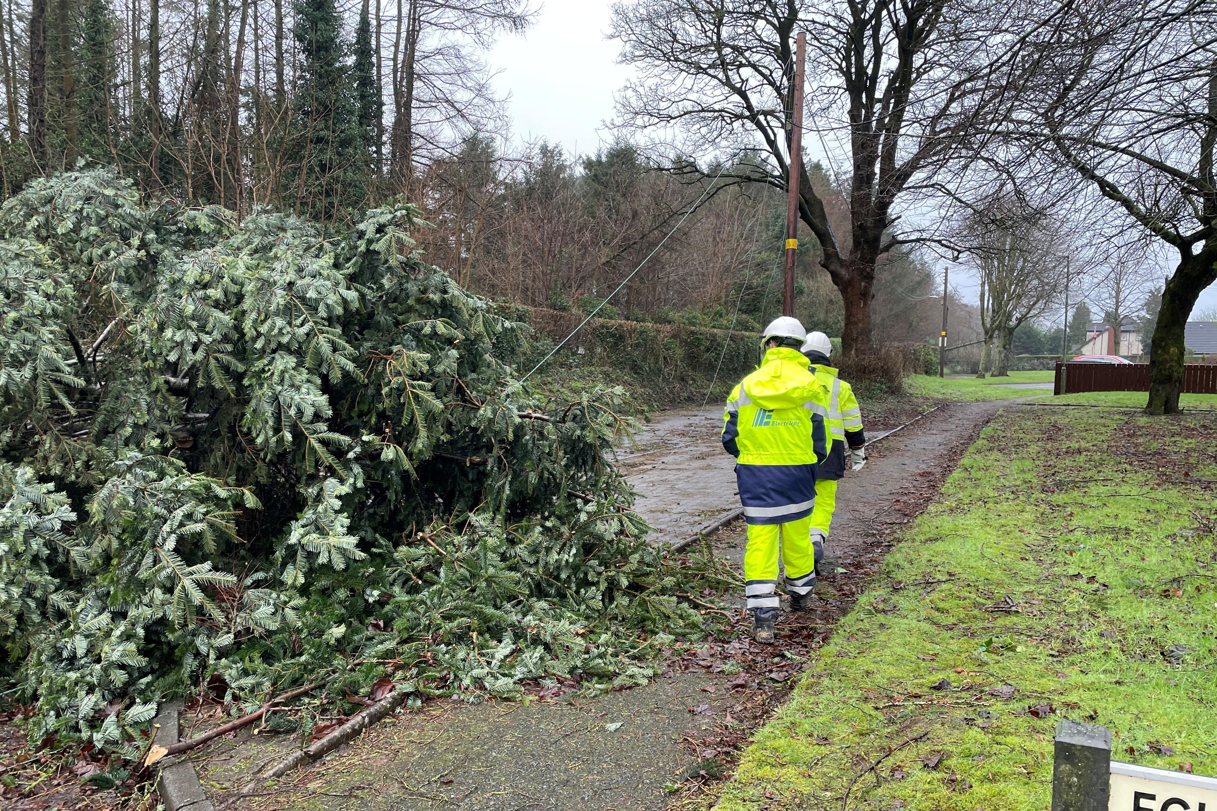Electricity engineers inspect damage by fallen trees blocking Eglantine Road near Hillsborough (PA)