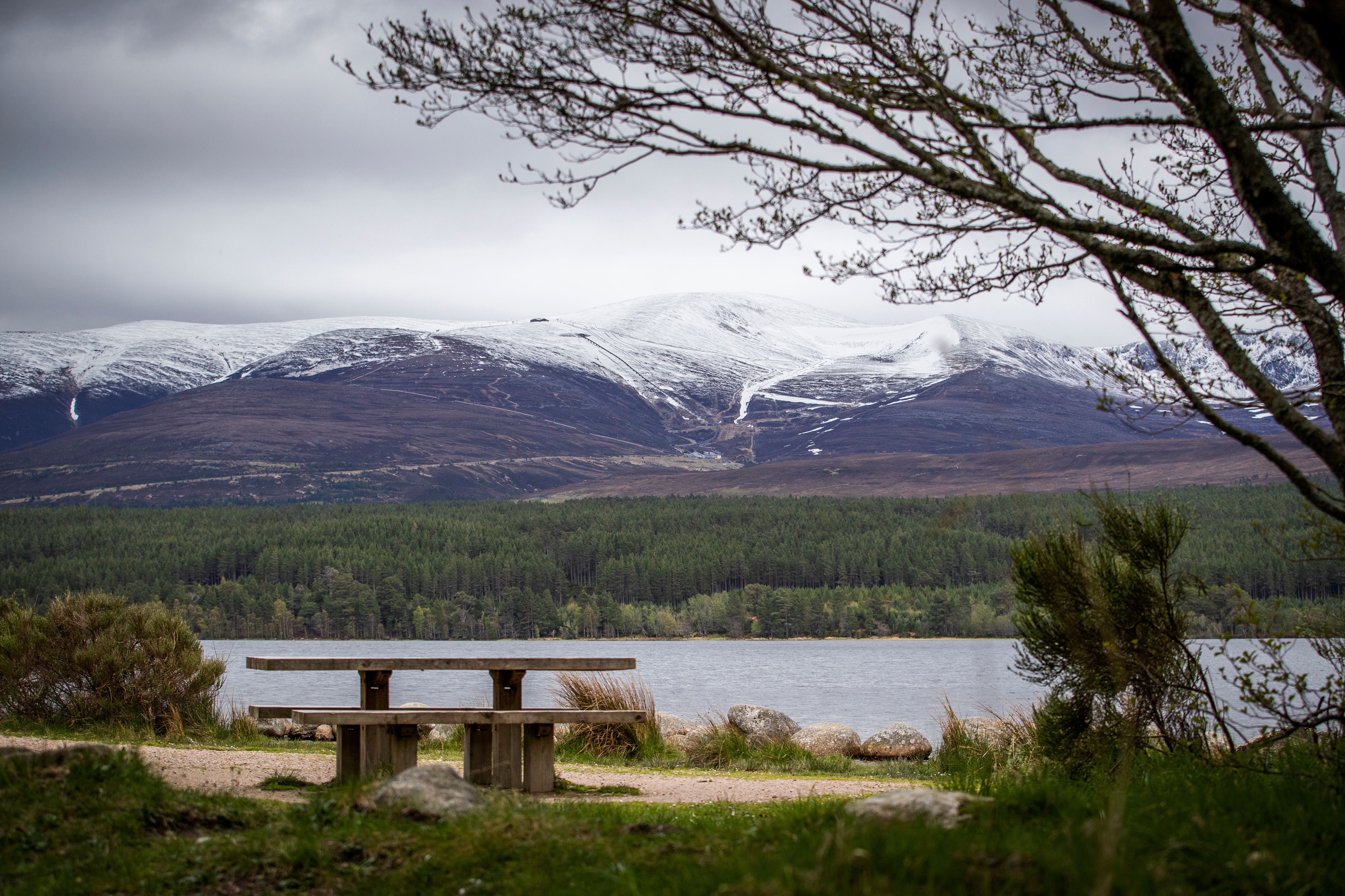 The Cairngorms National Park in the Scottish Highlands