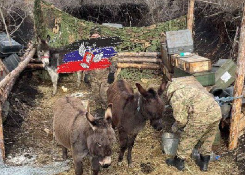 Donkeys reportedly being used by Russian troops along Ukraine’s 600-mile front