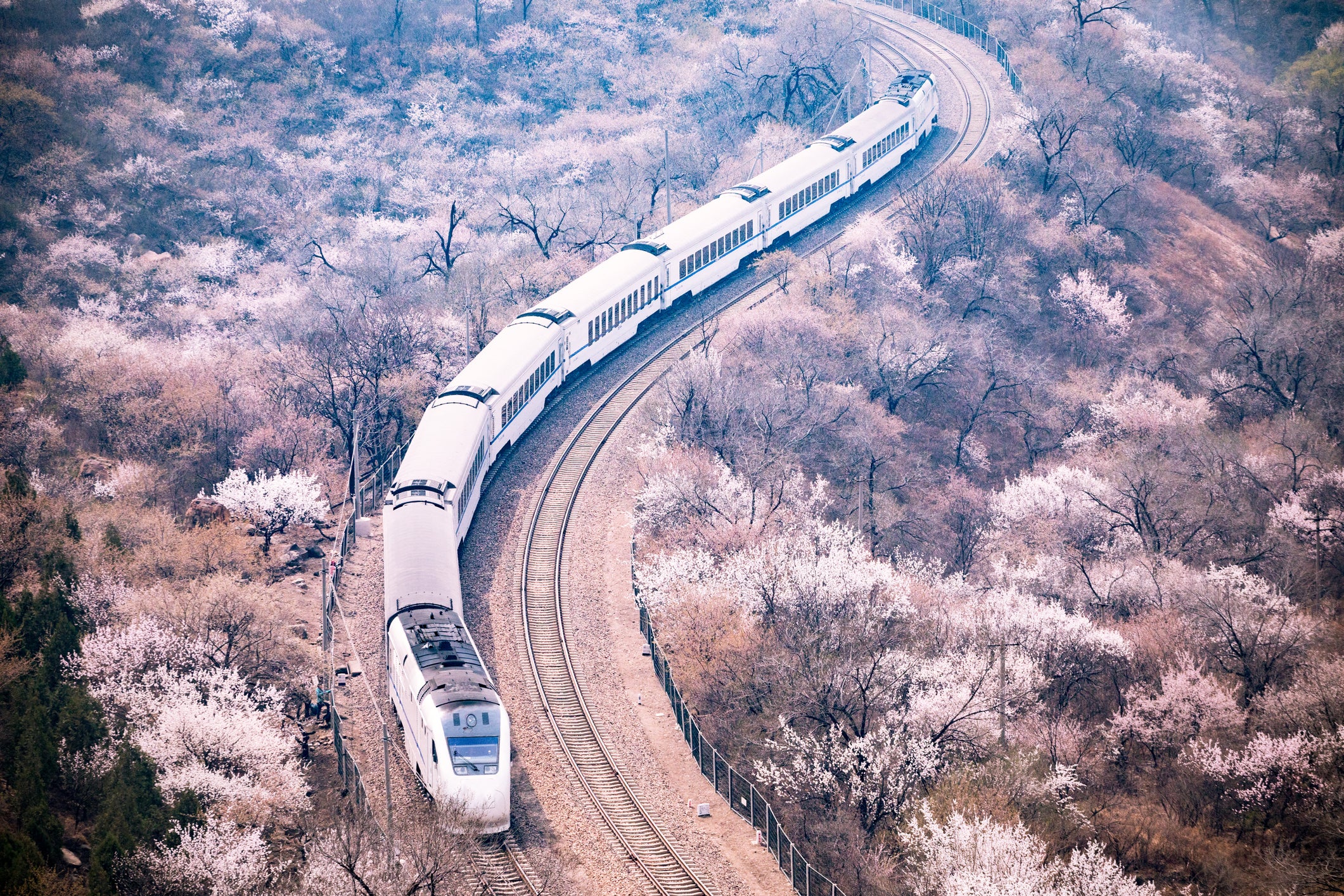 A Chinese tourist train near Bejing