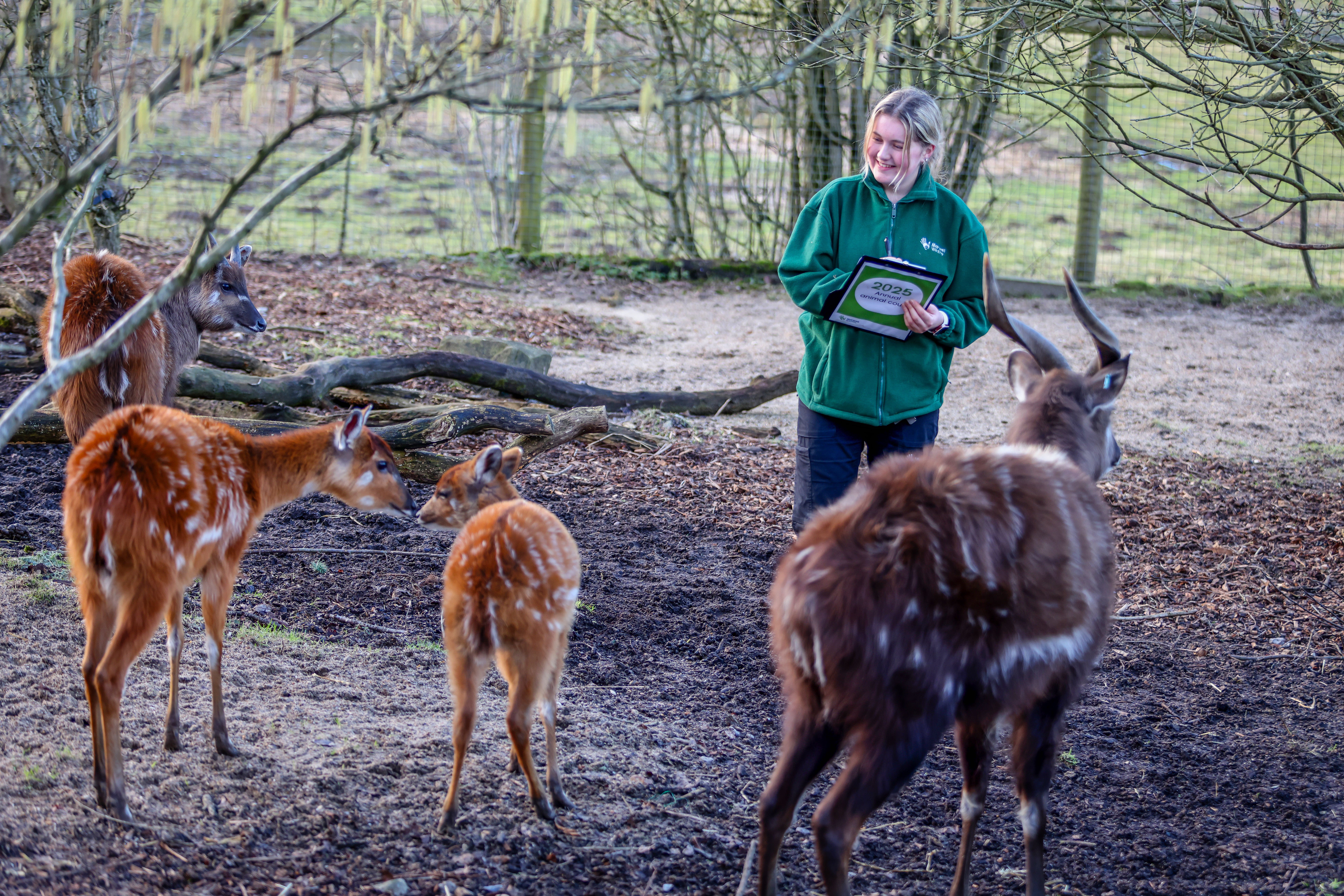 Marwell Zoo staff carried out an audit of their animals (Marwell Zoo/PA)
