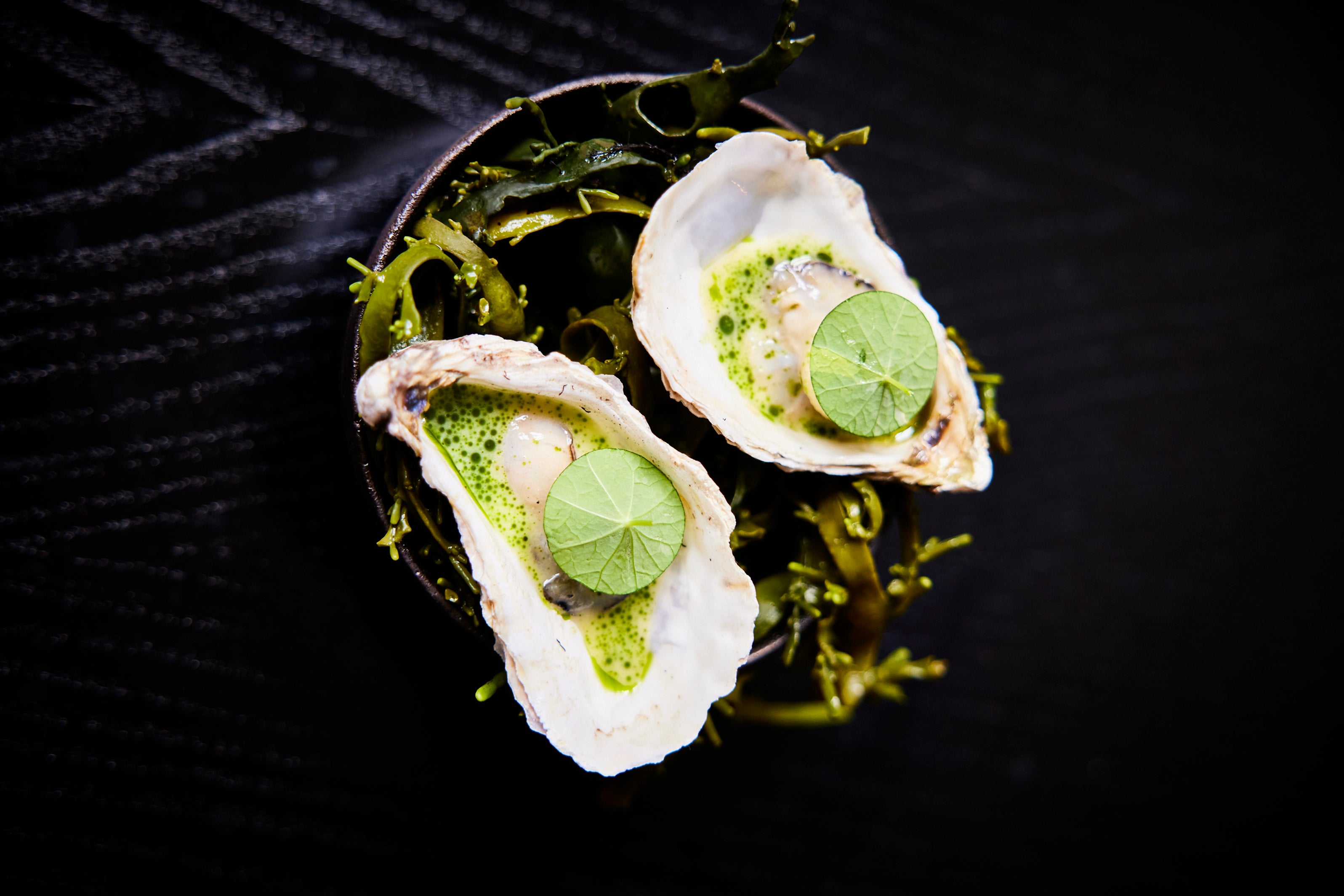 The finished dish: oysters served with beurre blanc, showcasing Ekstedt’s signature fire-cooked flavours