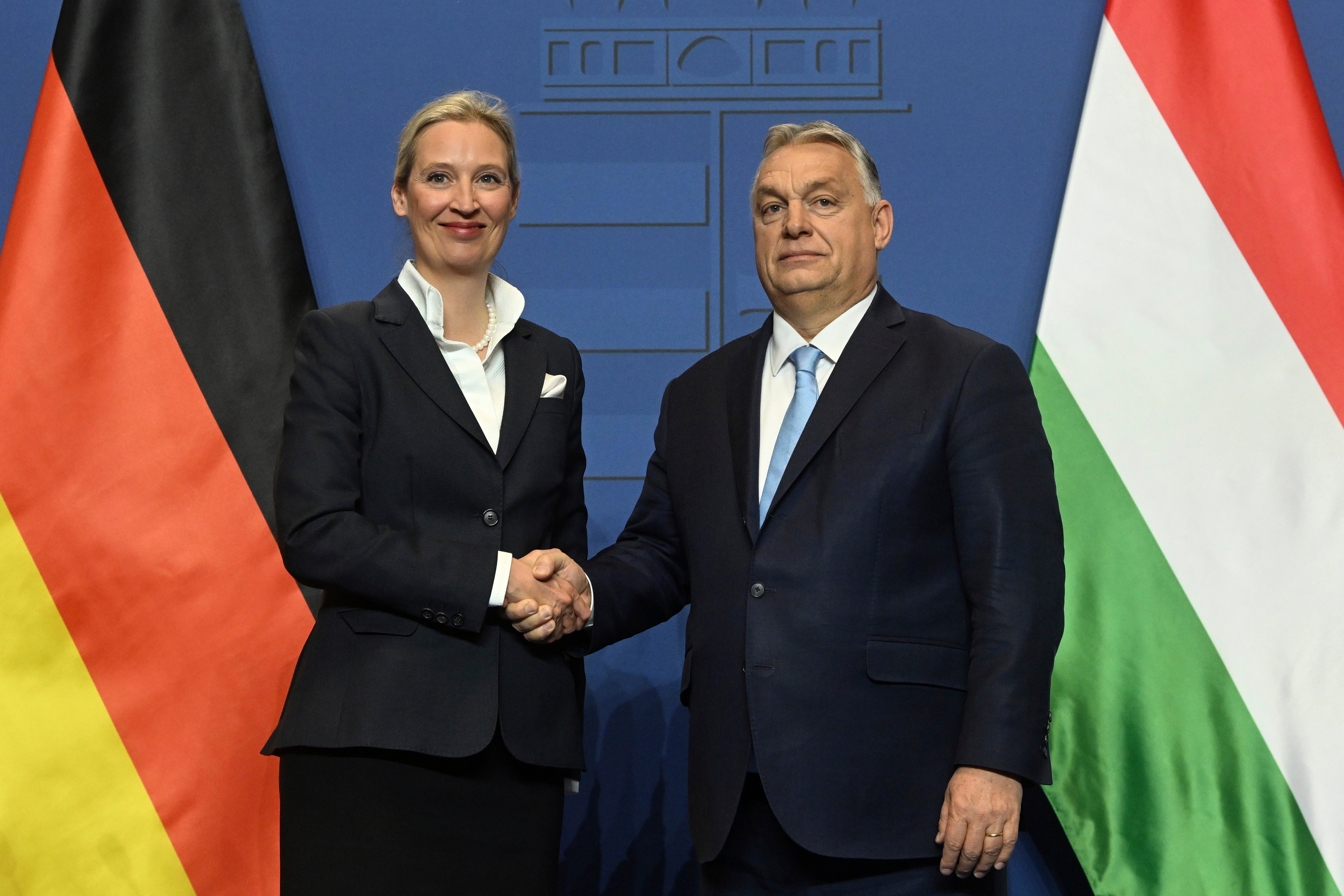 Hungary Orban Alternative for Germany