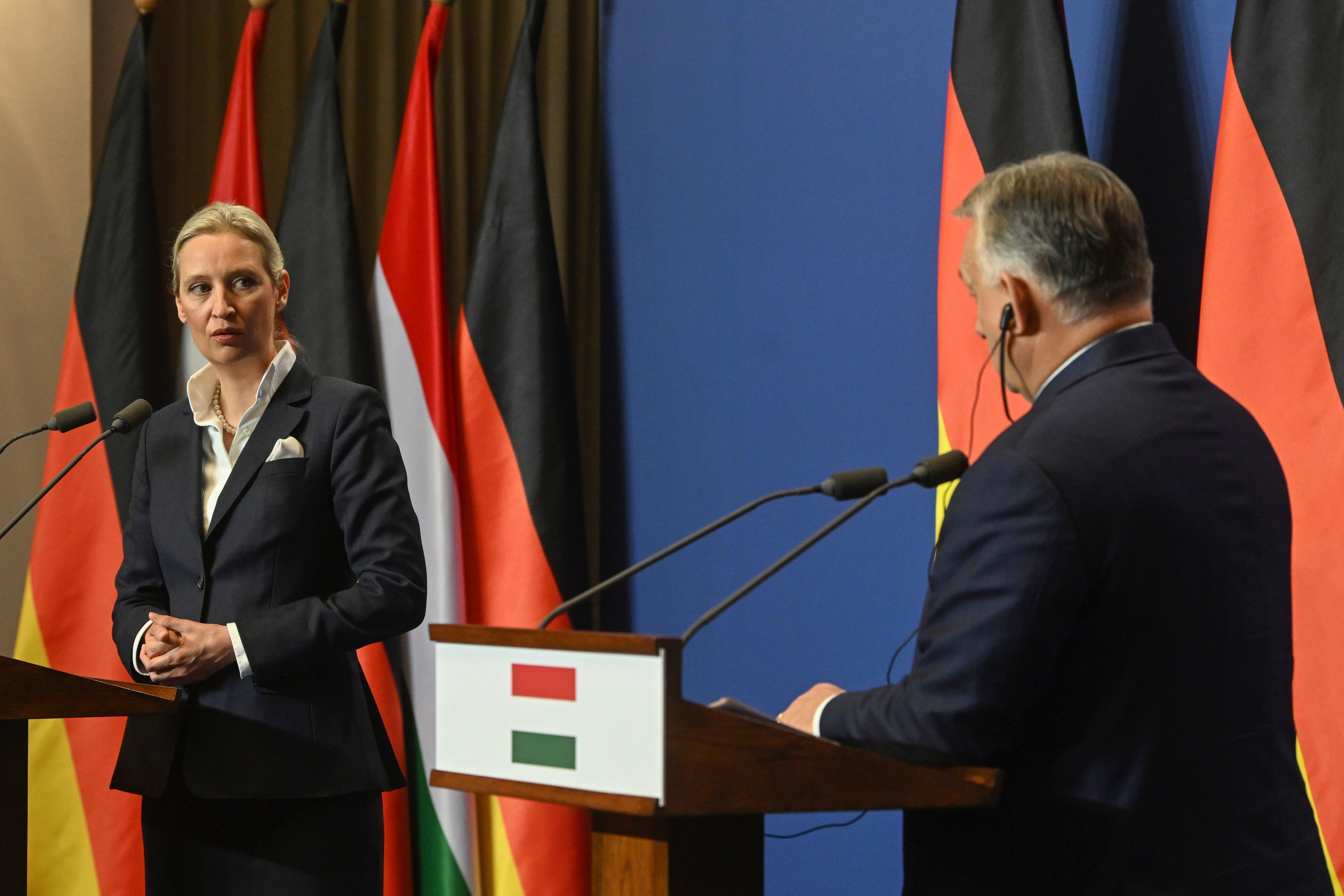 Hungary Orban Alternative for Germany