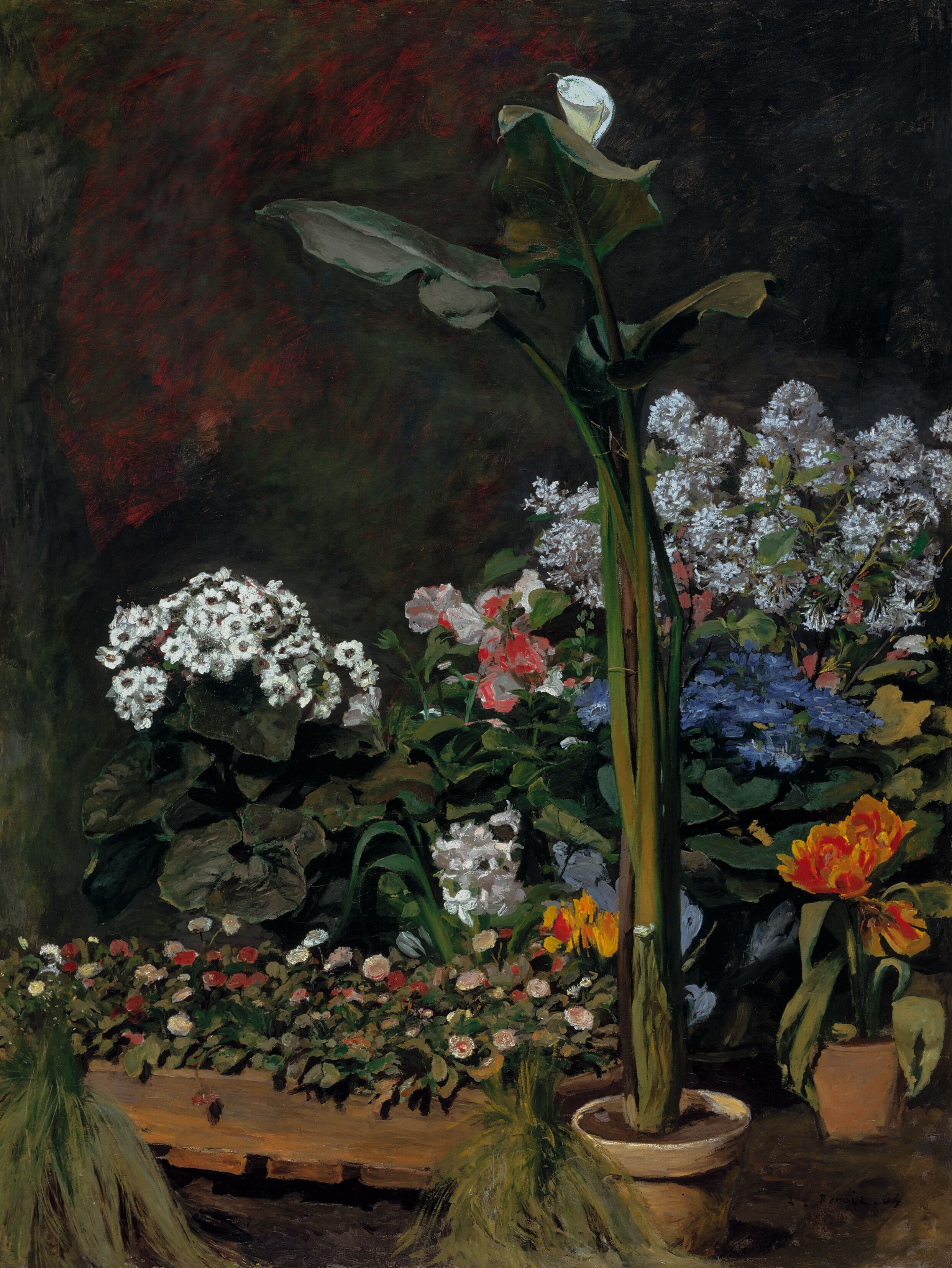 ‘Lily and Greenhouse Plants’ (1864), Pierre-Auguste Renoir