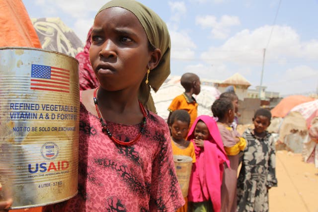 <p>Internally-displaced children look out from family's makeshift homes in Maslah camp on the outskirts of Mogadishu, earlier this year</p>