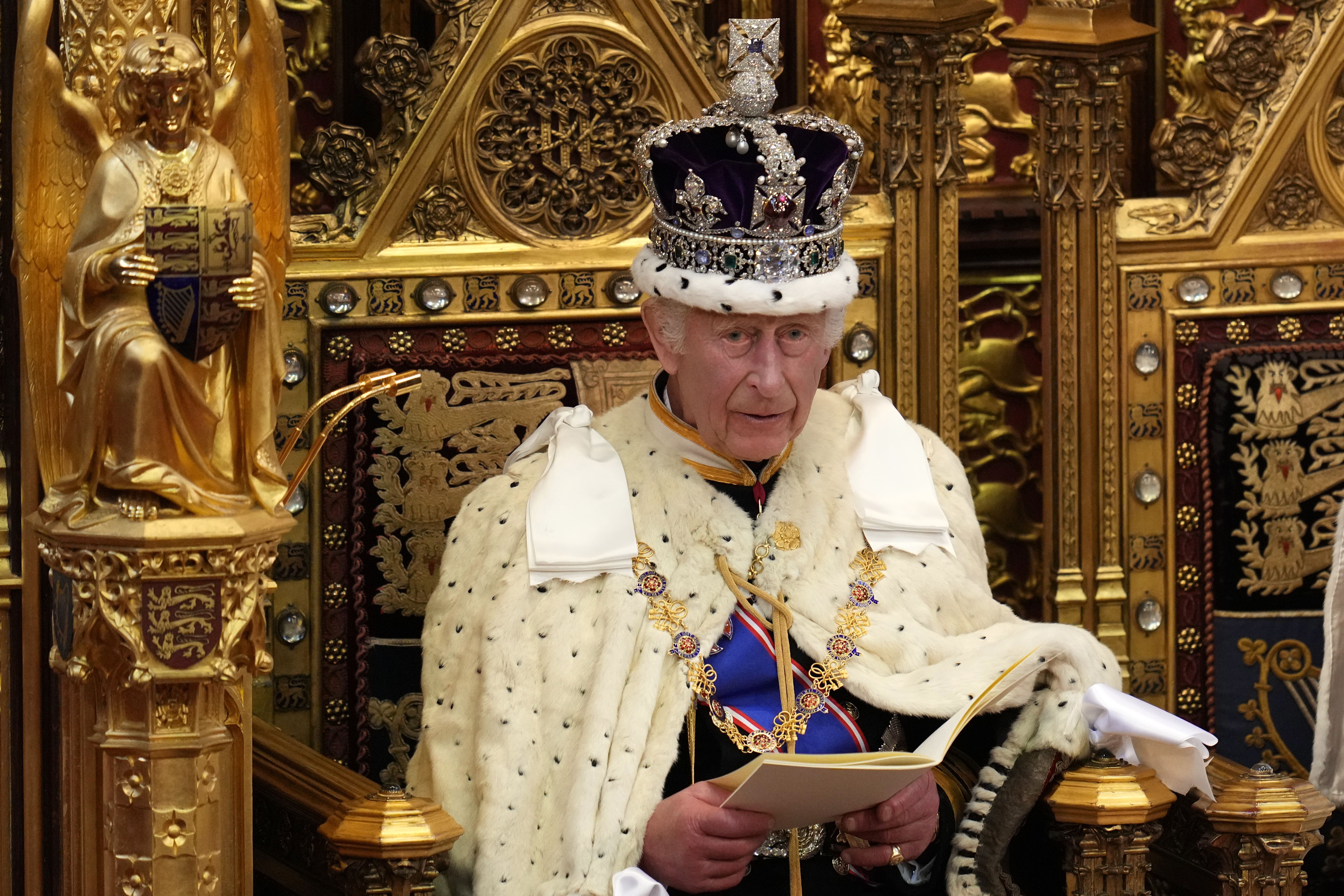 The King reads the King’s Speech during the State Opening of Parliament (Kirsty Wigglesworth/PA)