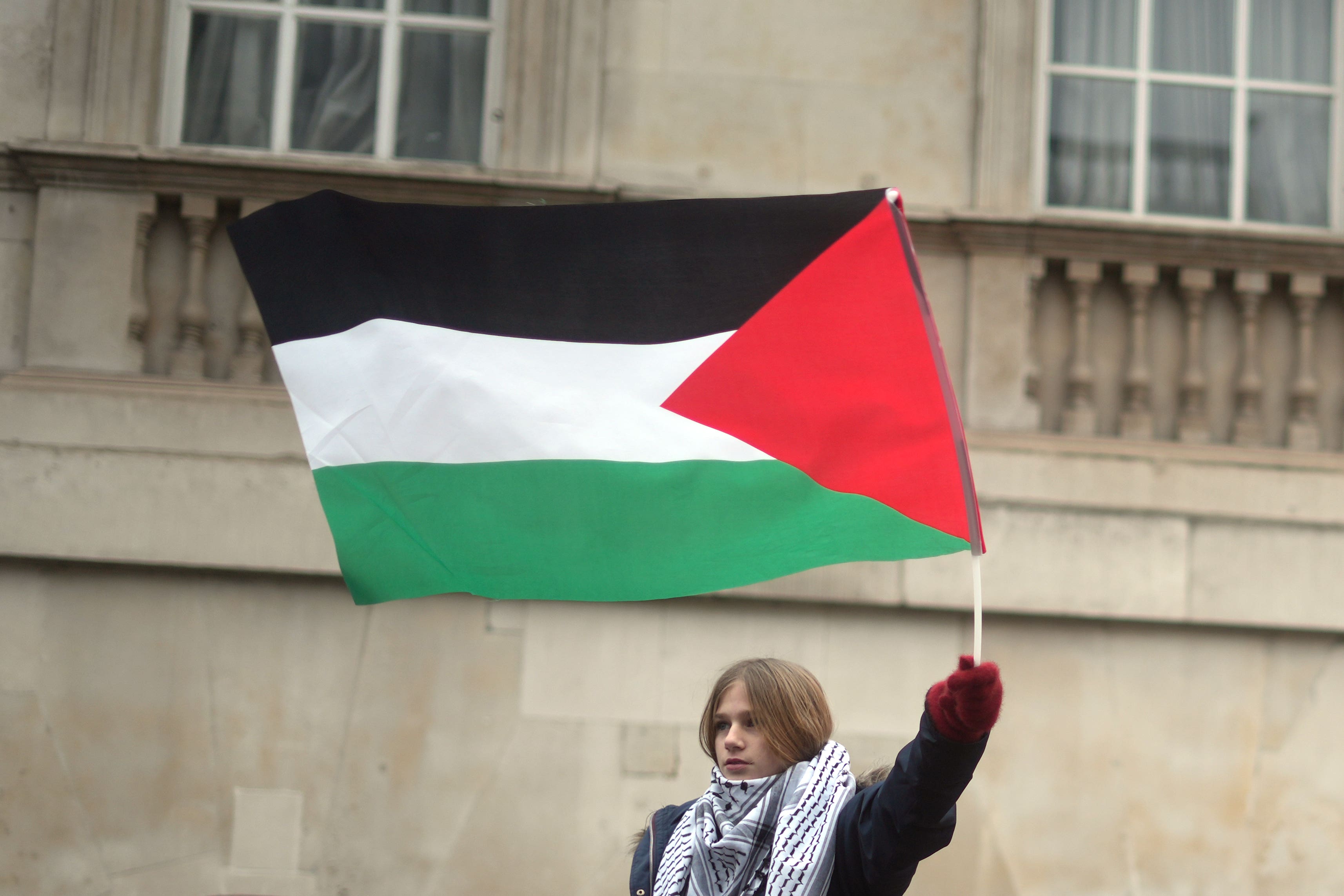 People take part in a national march for Palestine on Whitehall (PA)