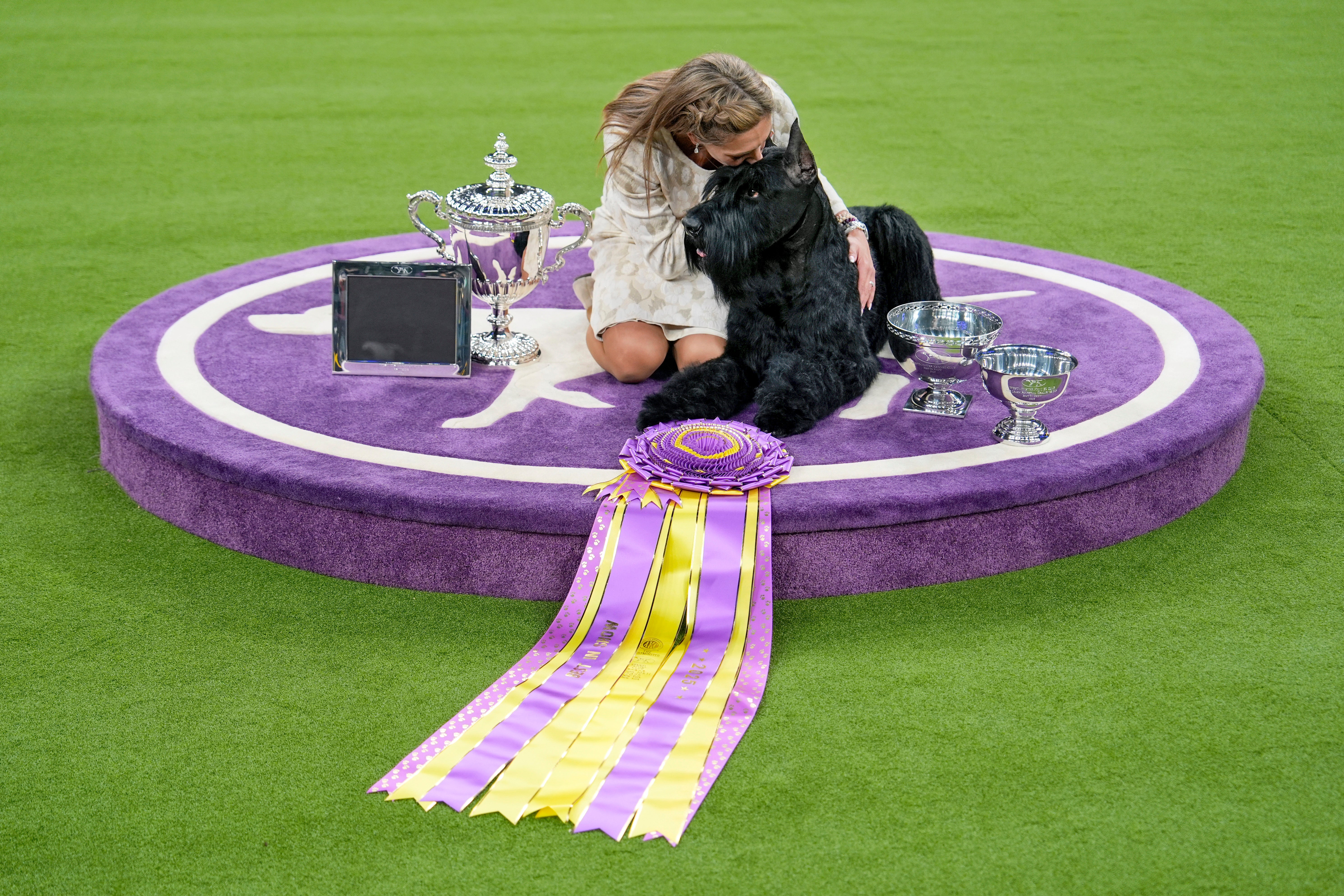 Westminster Dog Show