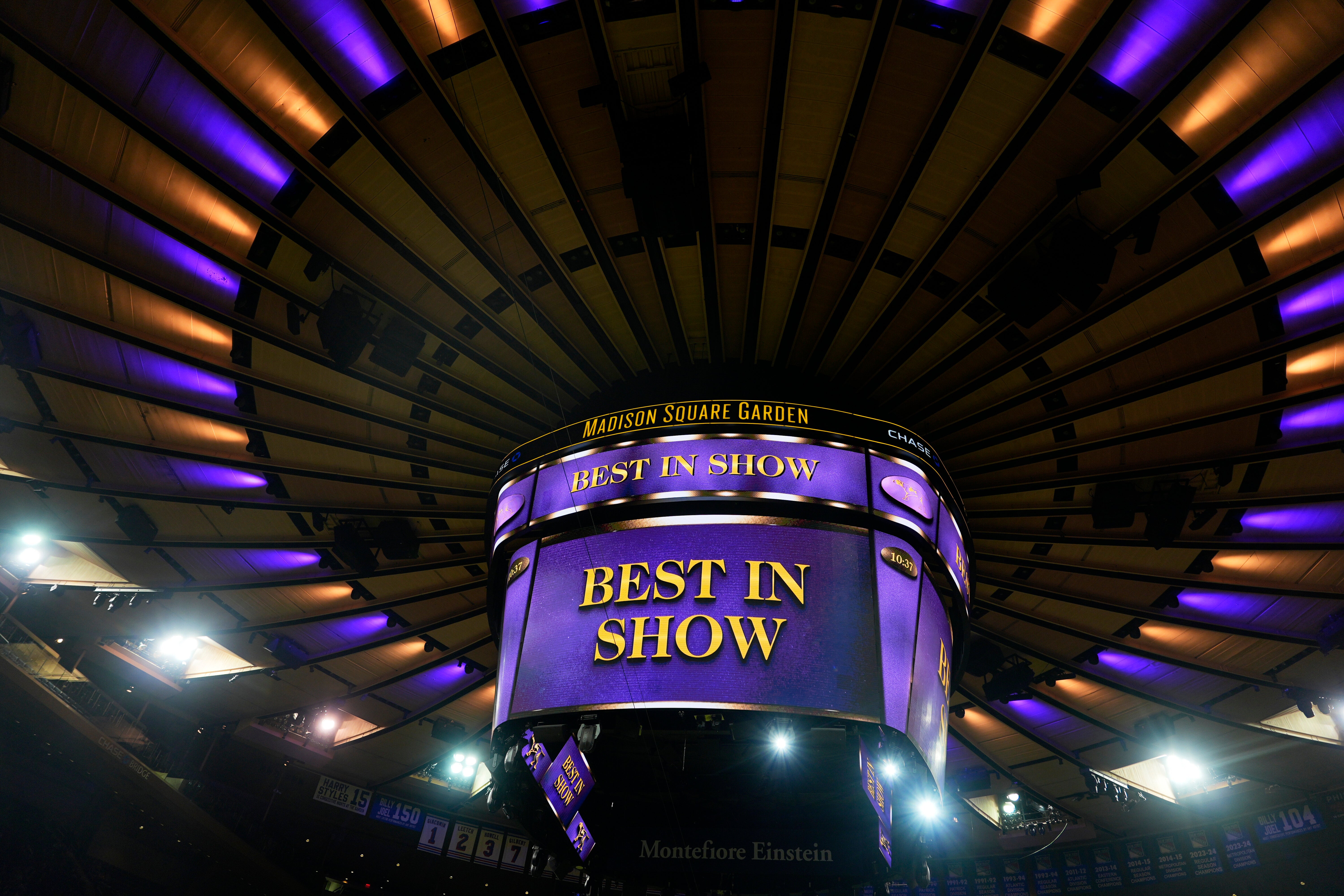 Westminster Dog Show