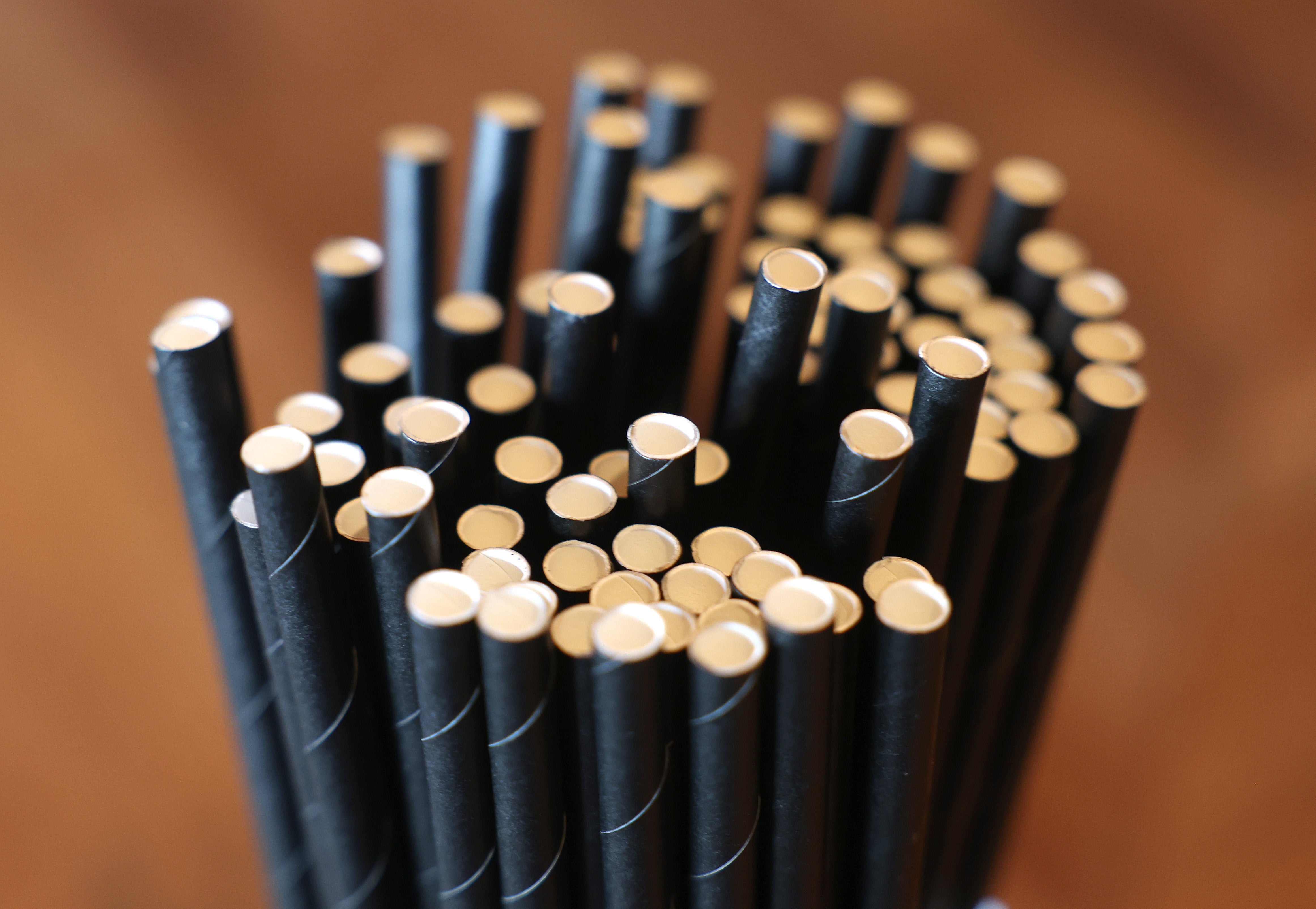 Paper straws have been a quick fix to a much larger issue, and the Biden administration’s previous steps to transition away from plastic at a federal level were a part of that. People have claimed that the biodegradable straws are better for wildlife, in addition to helping reduce plastic pollution