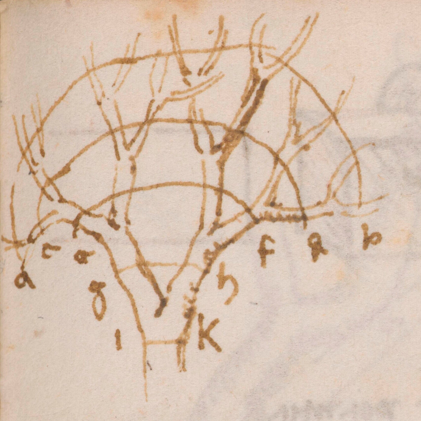 Leonardo da Vinci's sketch of a tree illustrates the principle that combined thickness is preserved at different stages of ramification