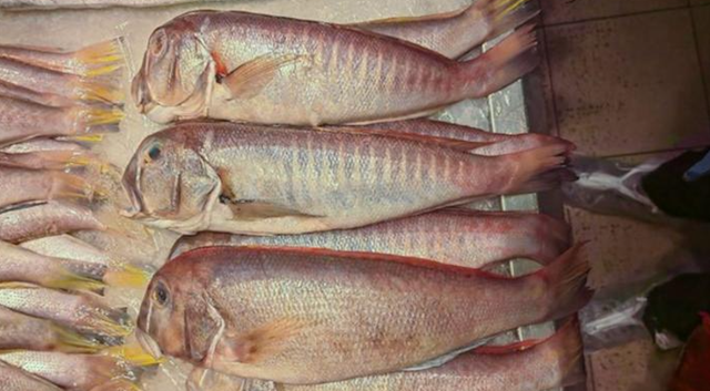 <p>Branchiostegus sanae at a seafood market</p>