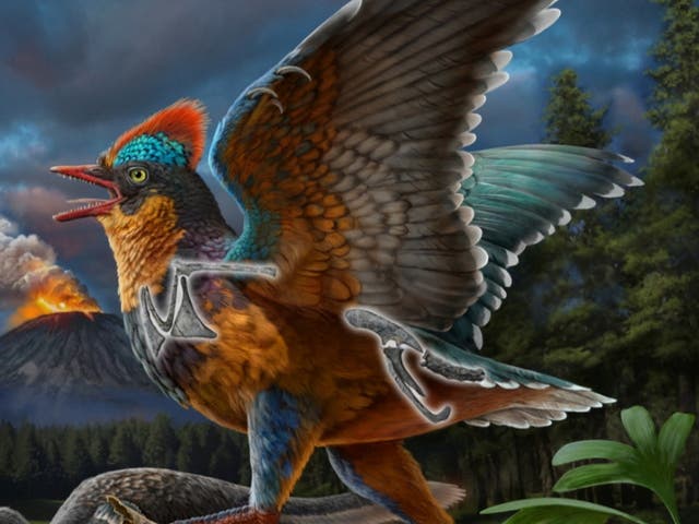 <p>Until now, Archaeopteryx was the only unquestionable bird known from the Jurassic, which ended roughly 145 million years ago</p>