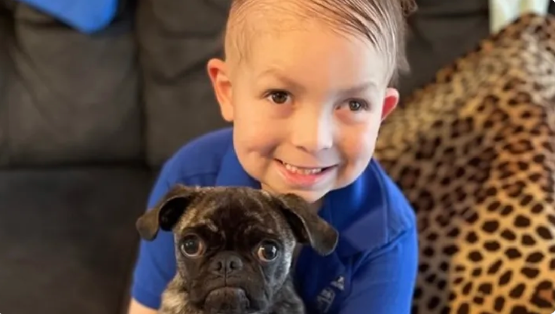 The family of Julian, a 9-year-old who is battling brain cancer, are begging scammers to stop using his photos for their schemes