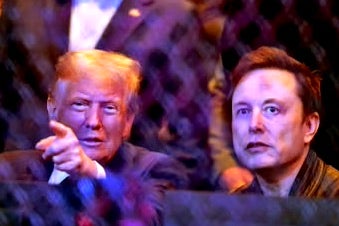 <p>Then President-elect Donald Trump talks with Elon Musk during Fight Club event at Madison Square Garden just weeks after Trump won the 2024 presidential election</p>