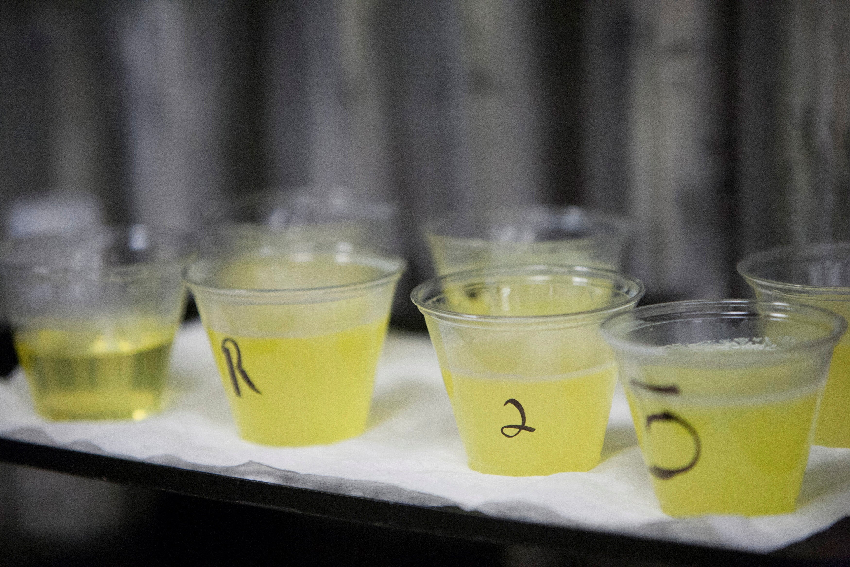 Why RFK Jr wants America to use beef tallow