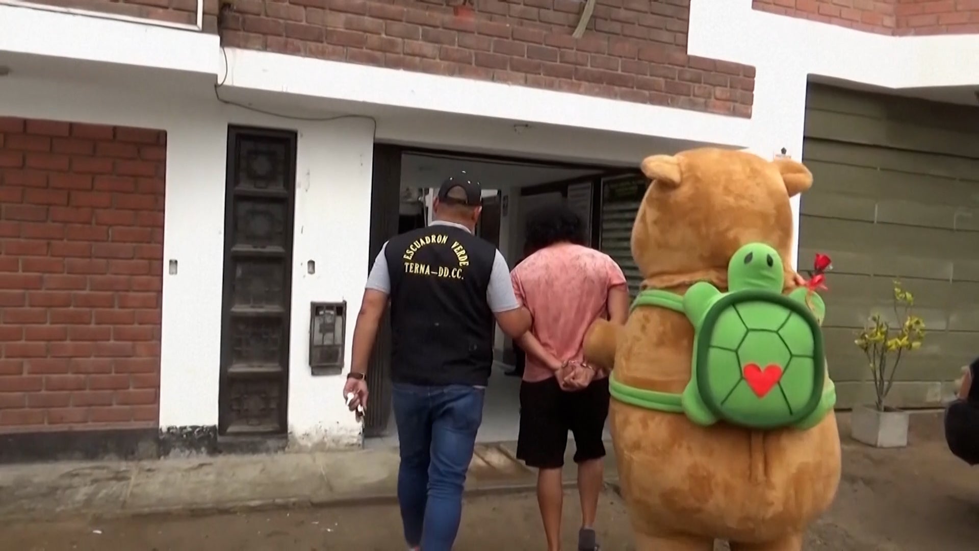 Peruvian police officer wears capybara costume to make an arrest in drug probe