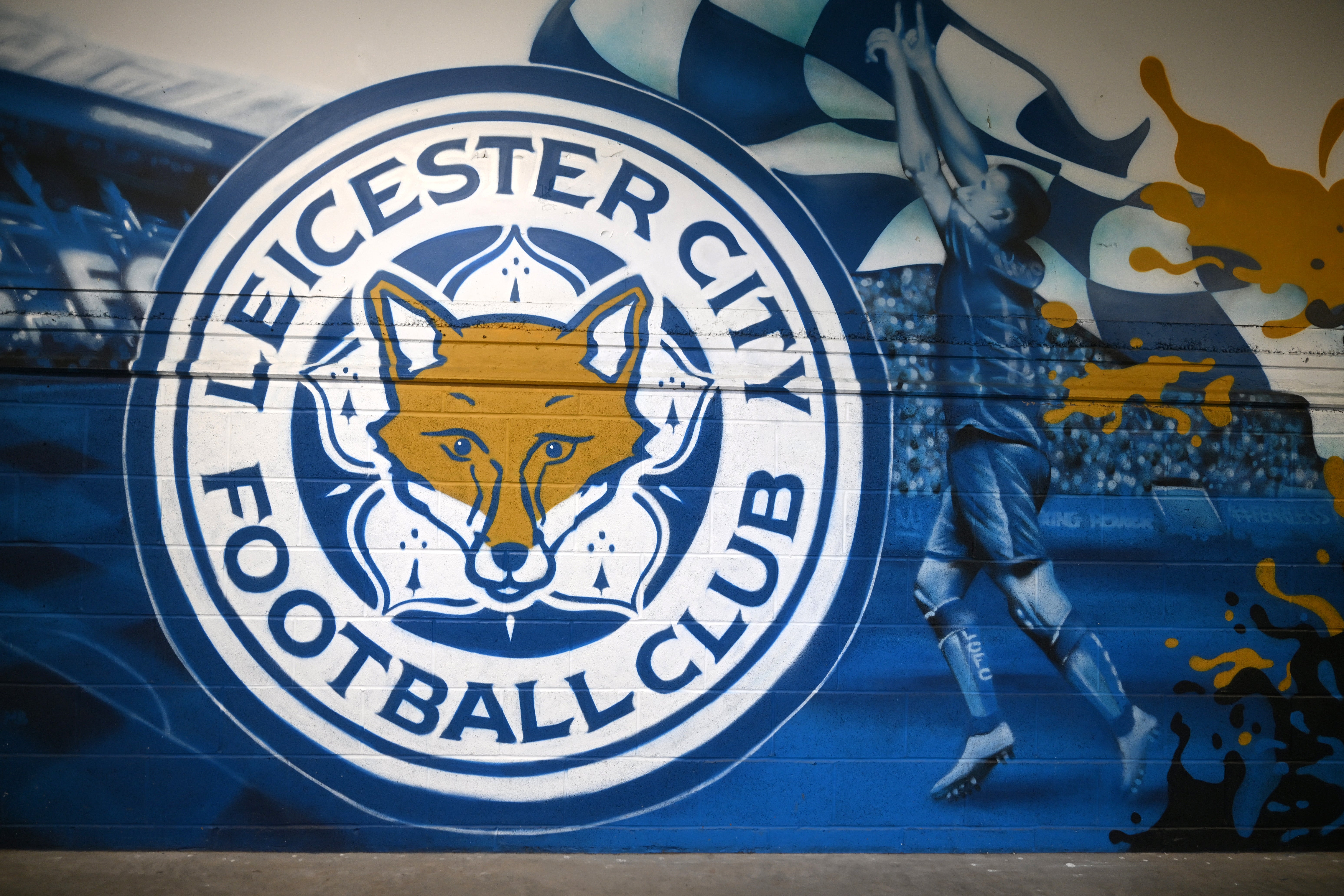 <p>Leicester City were relegated from the Premier League in 2024/25</p>