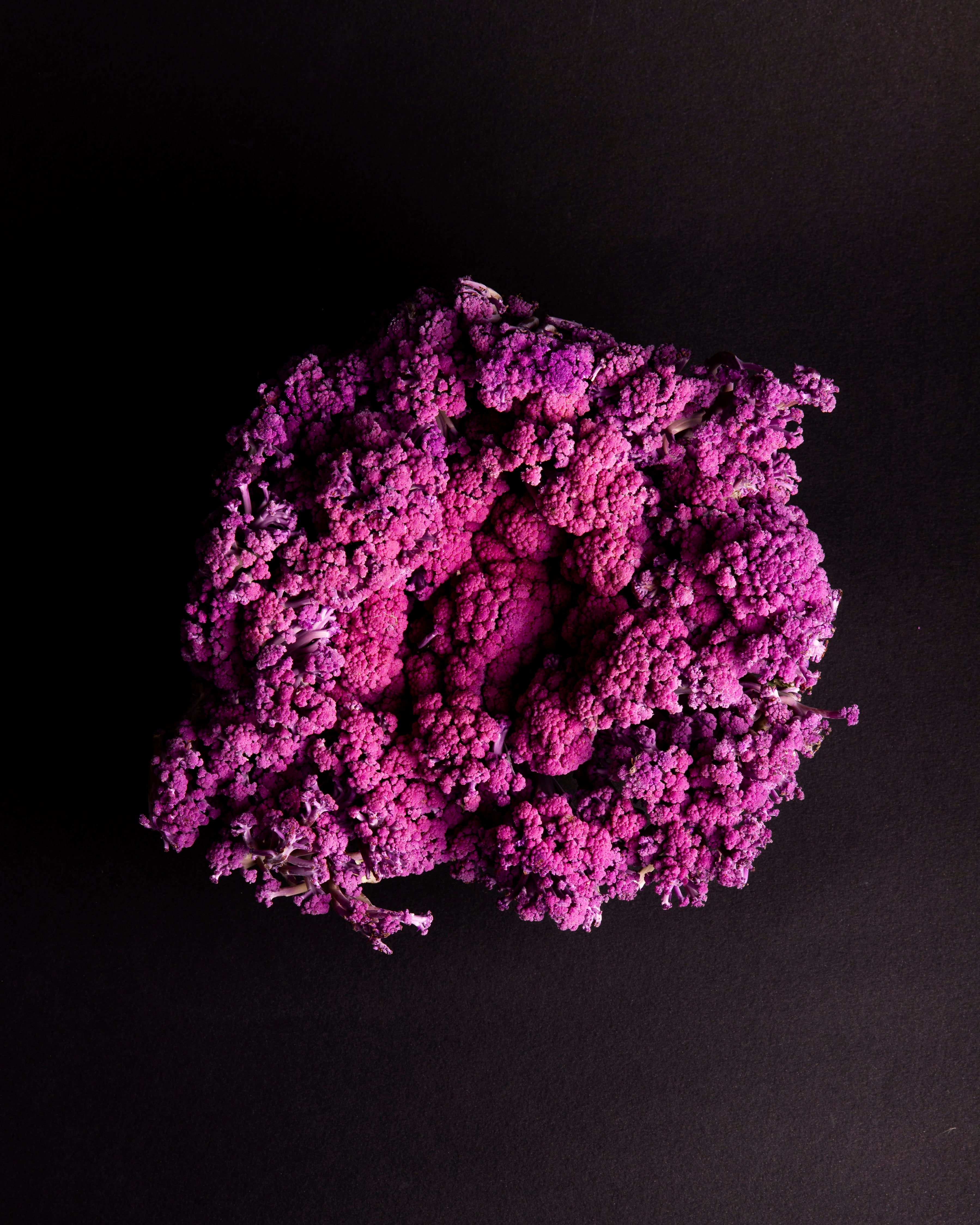 Gardening-Select New Plants