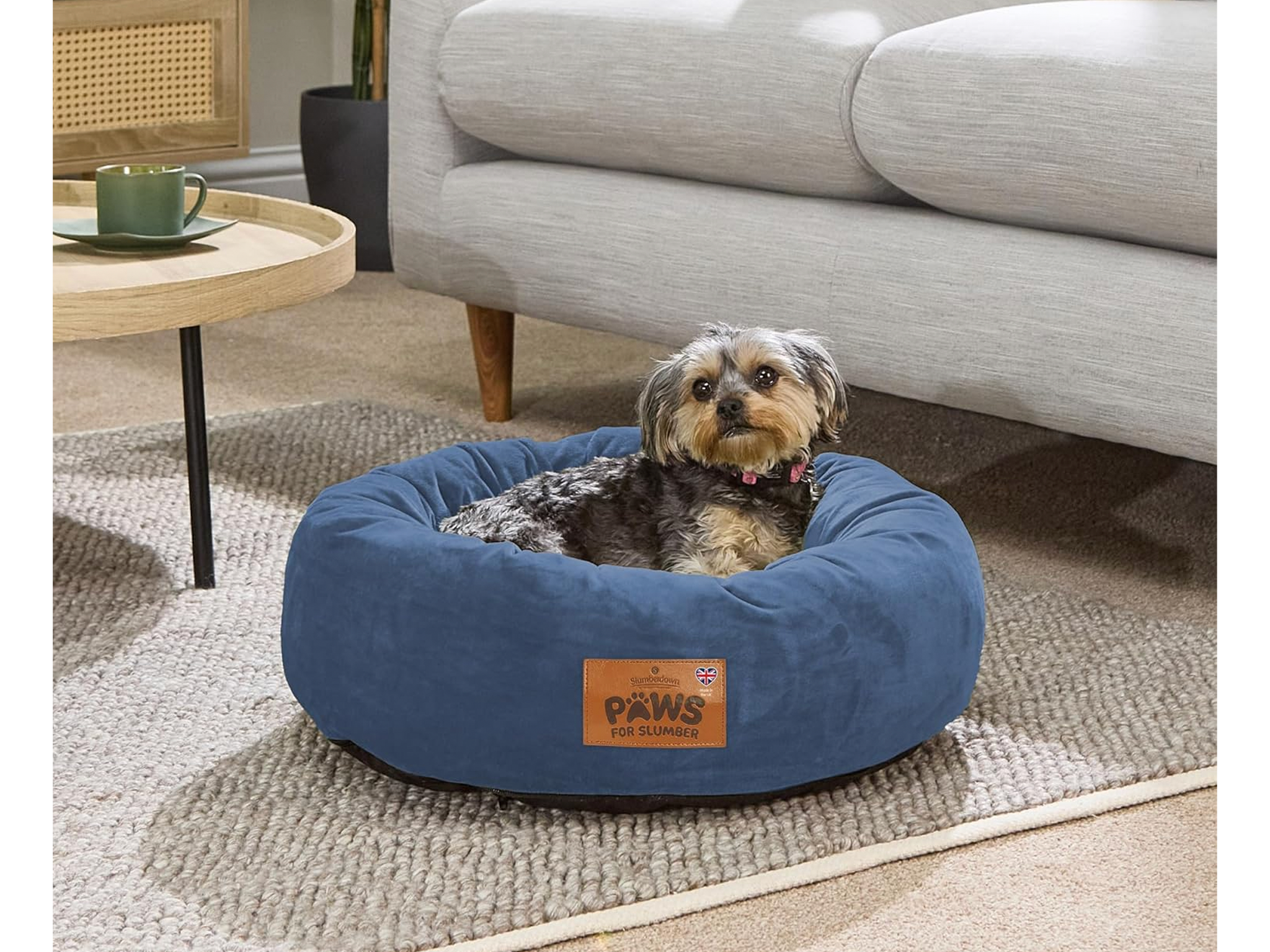 Slumberdown donut best dog bed review indybest_