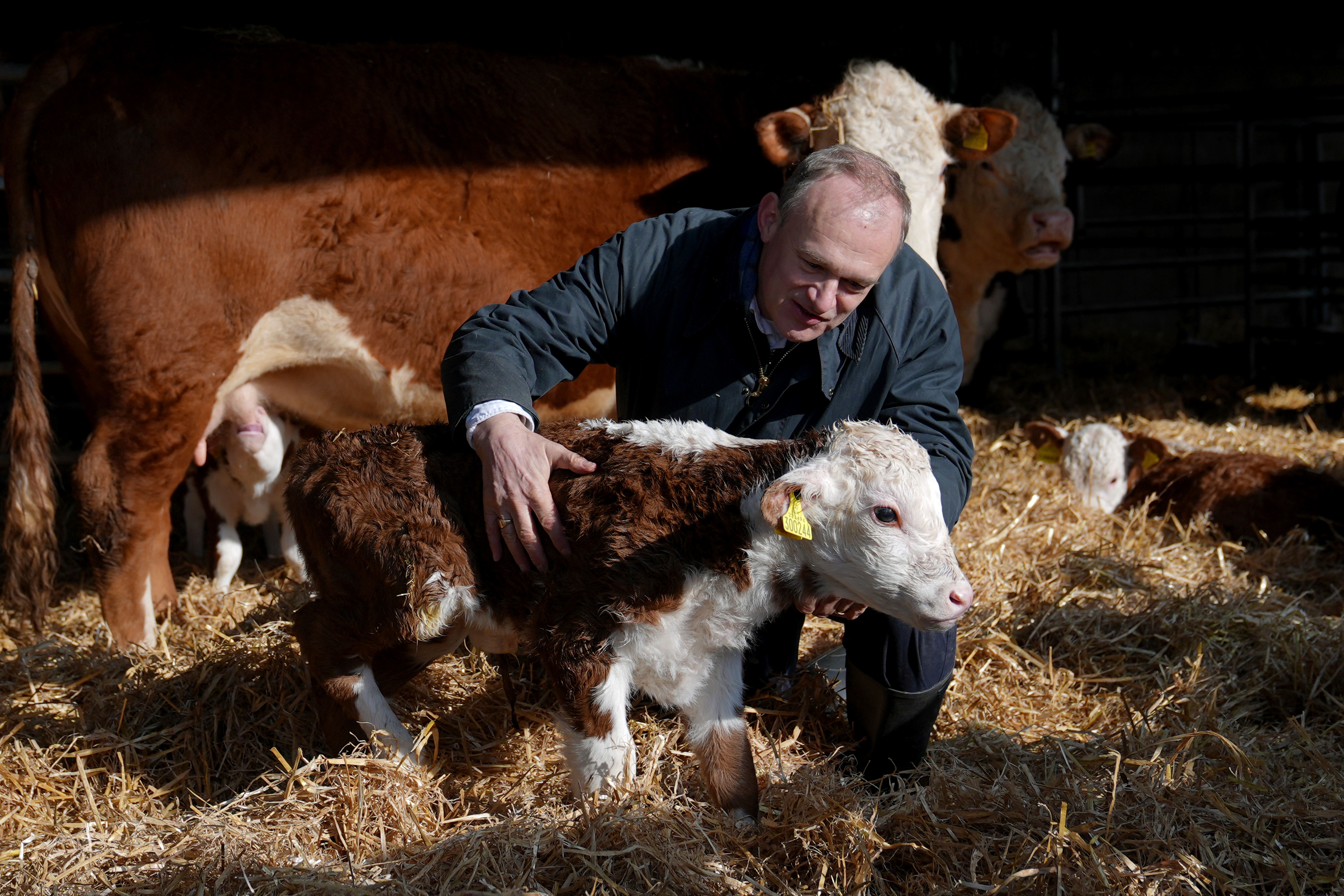 Liberal Democrats leader Sir Ed Davey during a visit to White Lodge Farm, near North Walsham, Norfolk (Joe Giddens/PA)