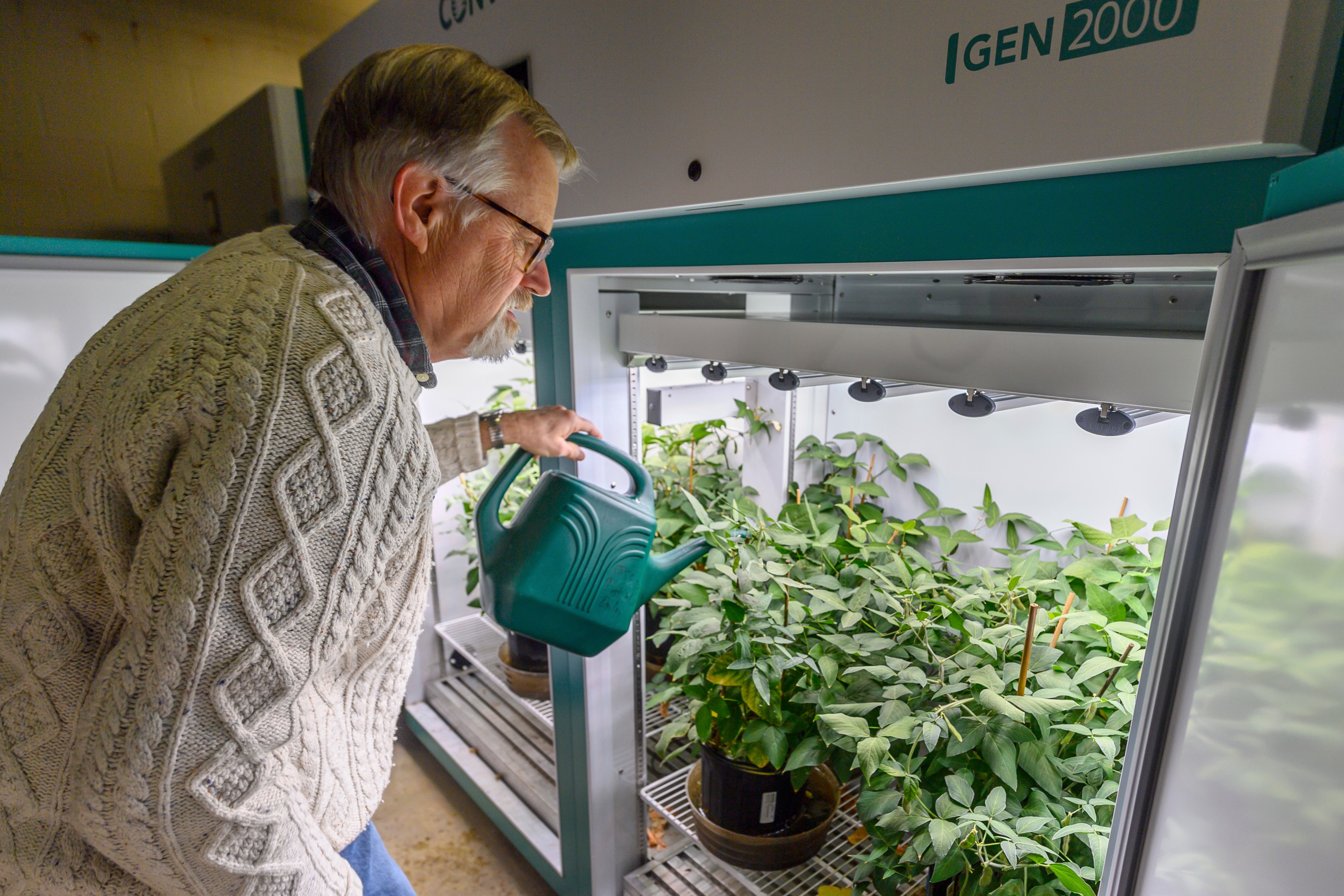 Trump-USAID-American Impact