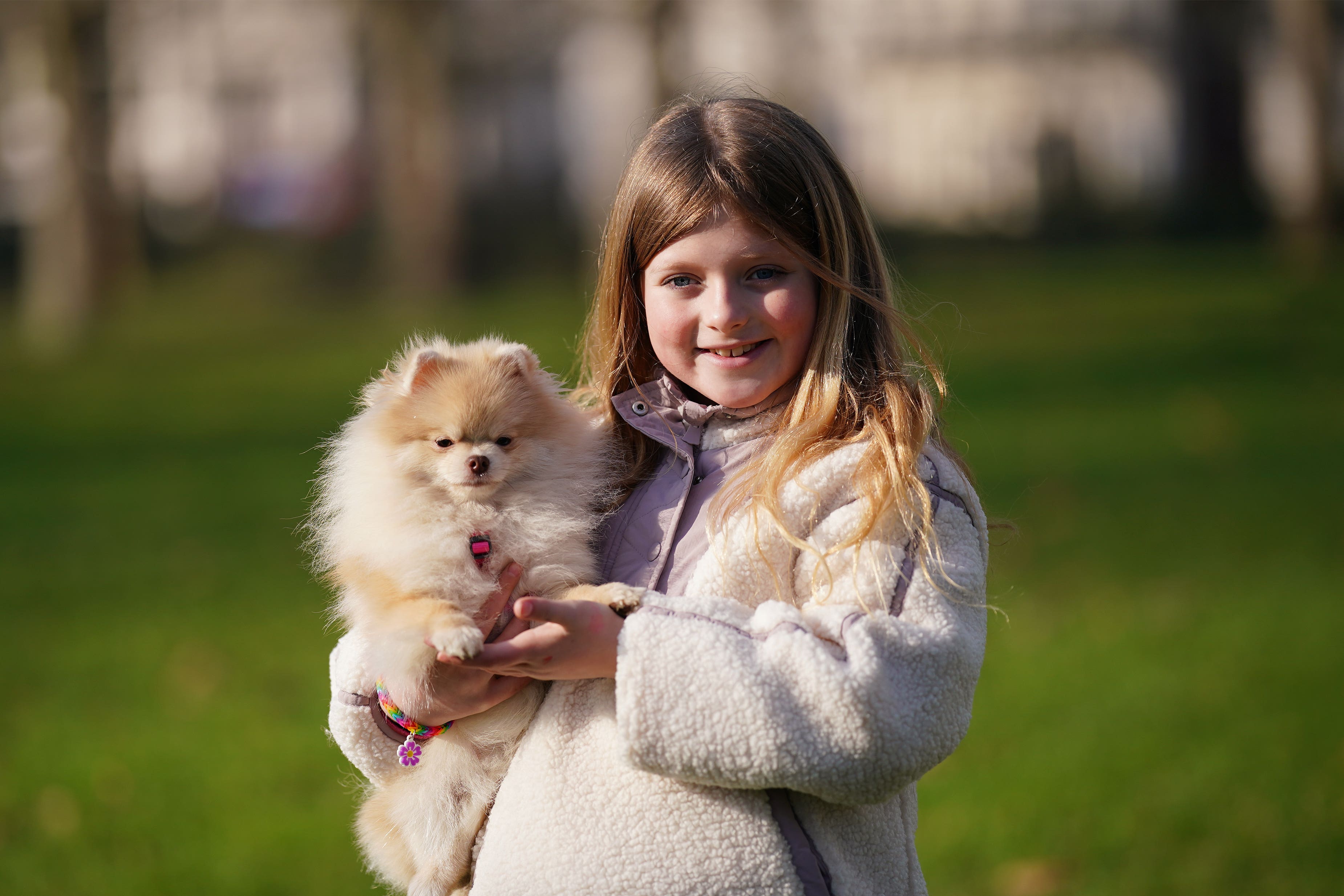 Rozalyn Merrett, nine, from Nottinghamshire, with Rosa, an 11-month-old Pomeranian, during a launch event for Crufts 2025 in Green Park, London (Yui Mok/PA)