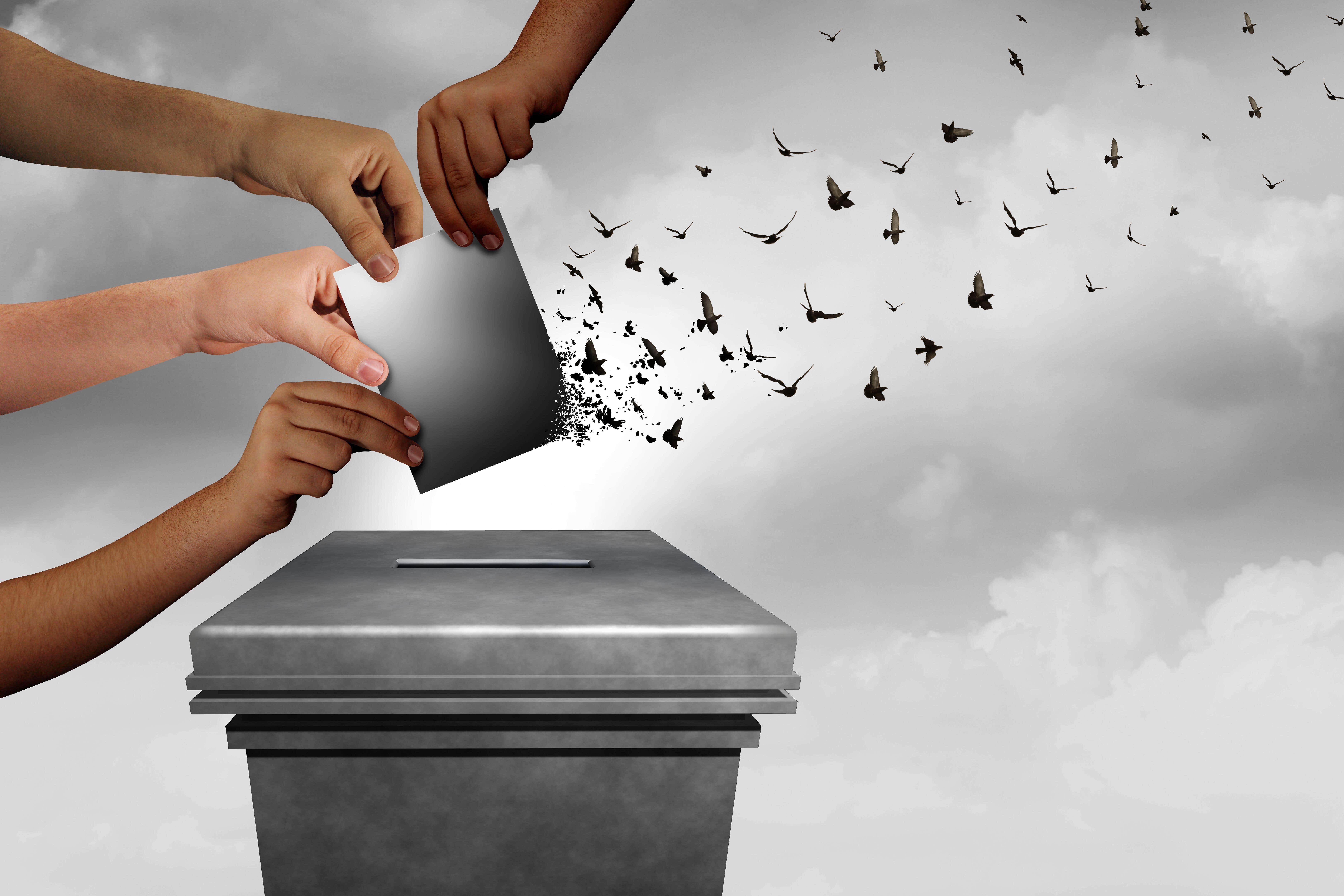 Trust in democracy is falling, a wide-ranging study has found (Alamy/PA)