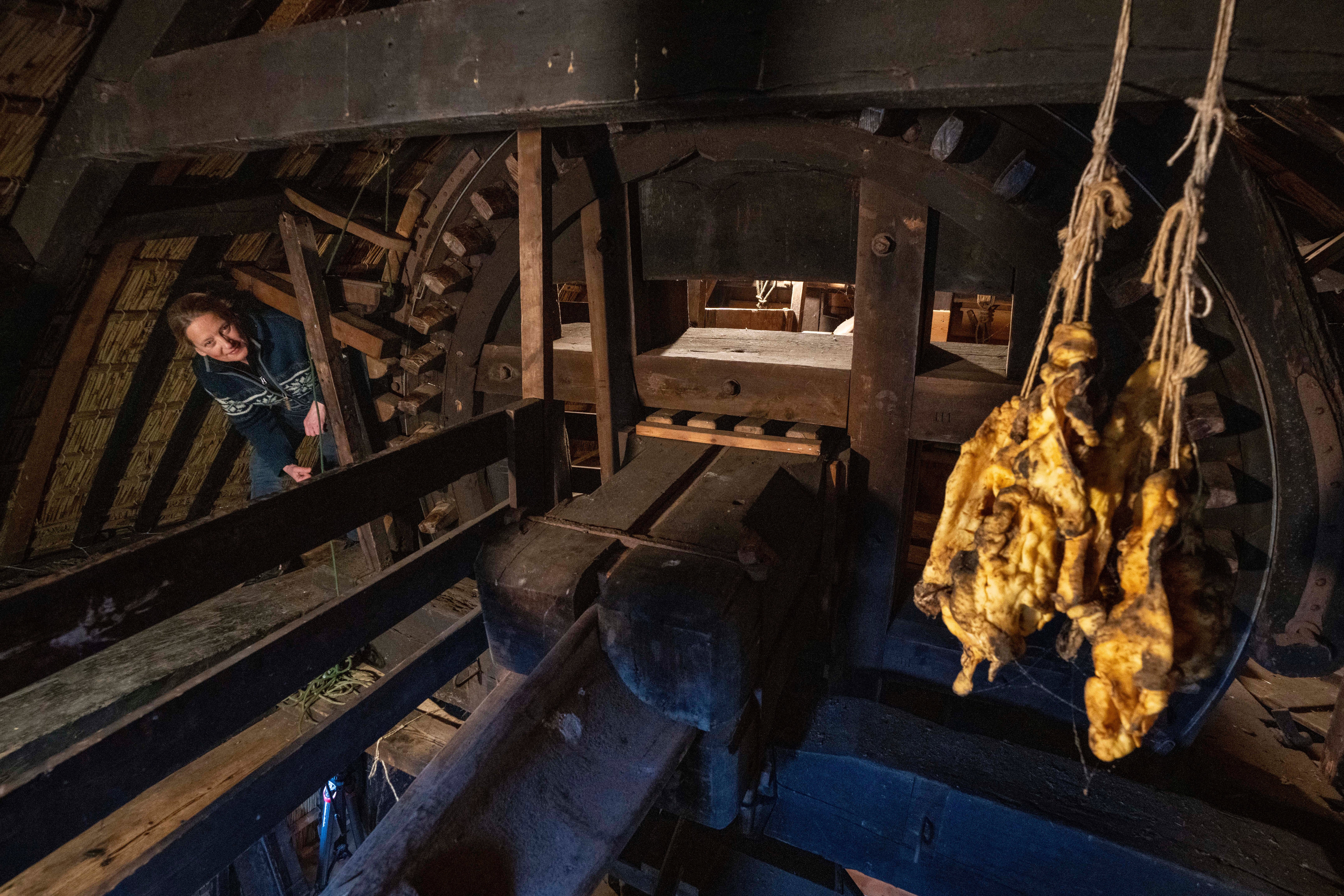 Netherlands New Millers