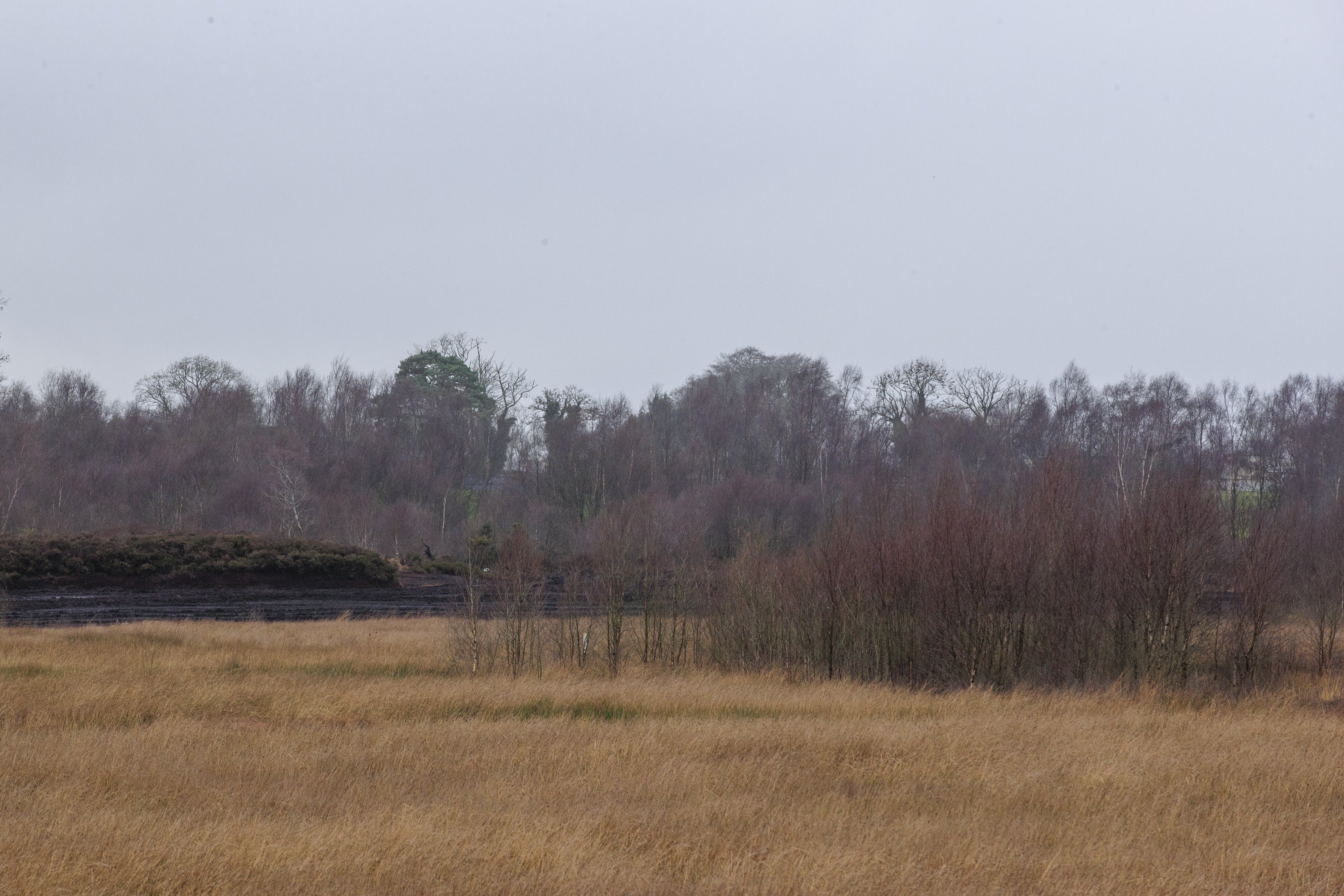The site in Bellaghy, Co Londonderry, where human remains were found in October 2023
